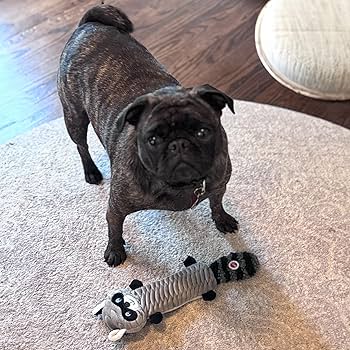 Pet Supplies : SPOT Skinneeez Stretch and Squeak Dog Toy