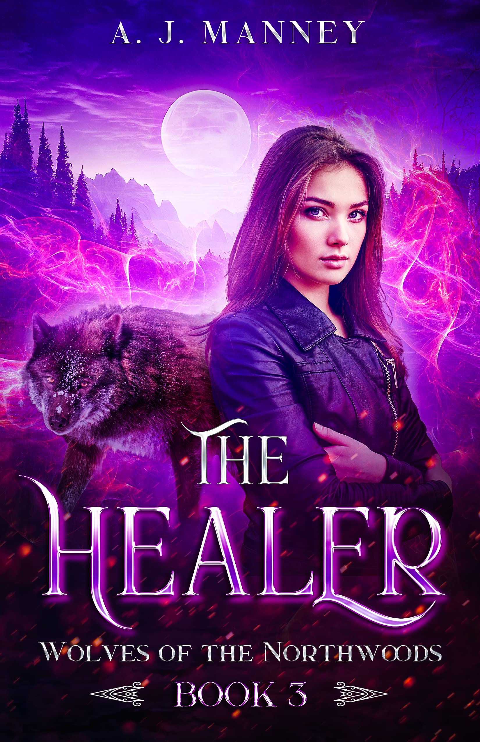 The Healer (Wolves of the Northwoods Book 3)