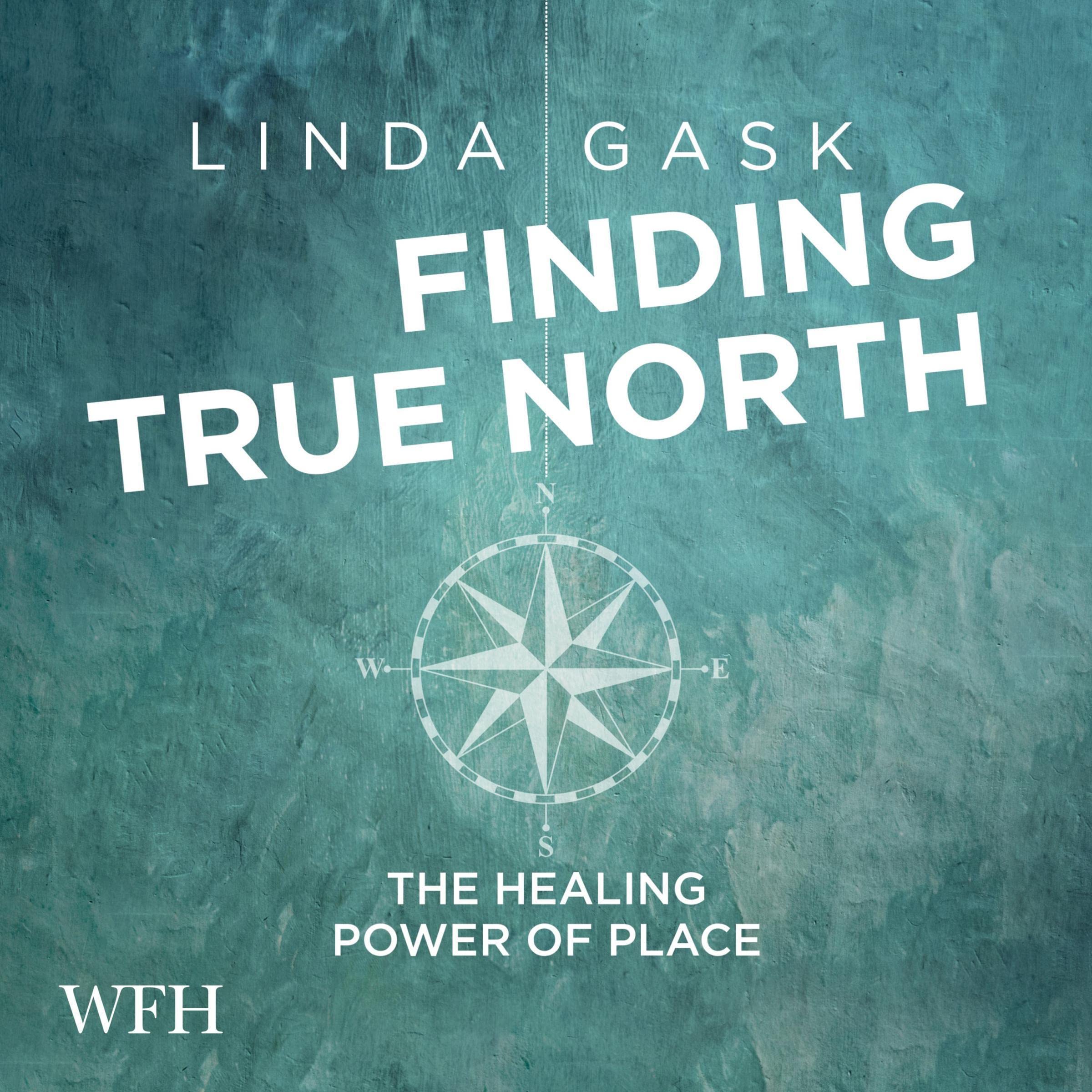 Finding True North