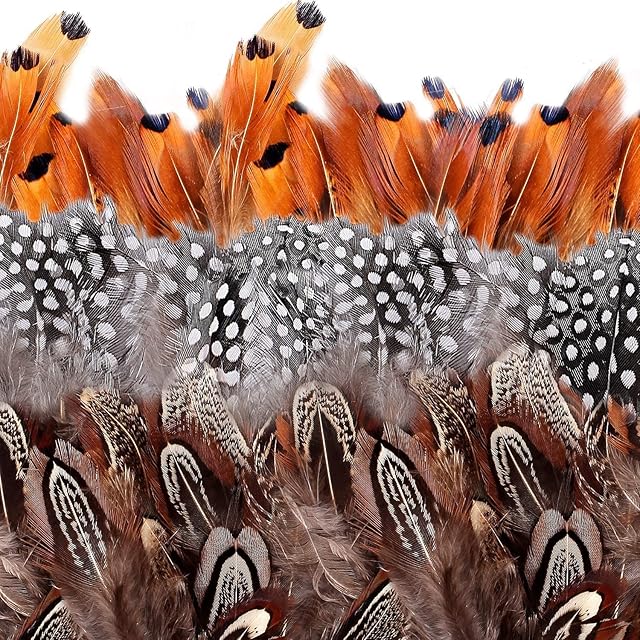 Camelize Brown Feathers, 350pcs Natural Speckled Feathers for DIY Dream Catcher Crafts, costumes, hats, handicrafts, home decor, Halloween, DIY decoration (Length 2-3.2")