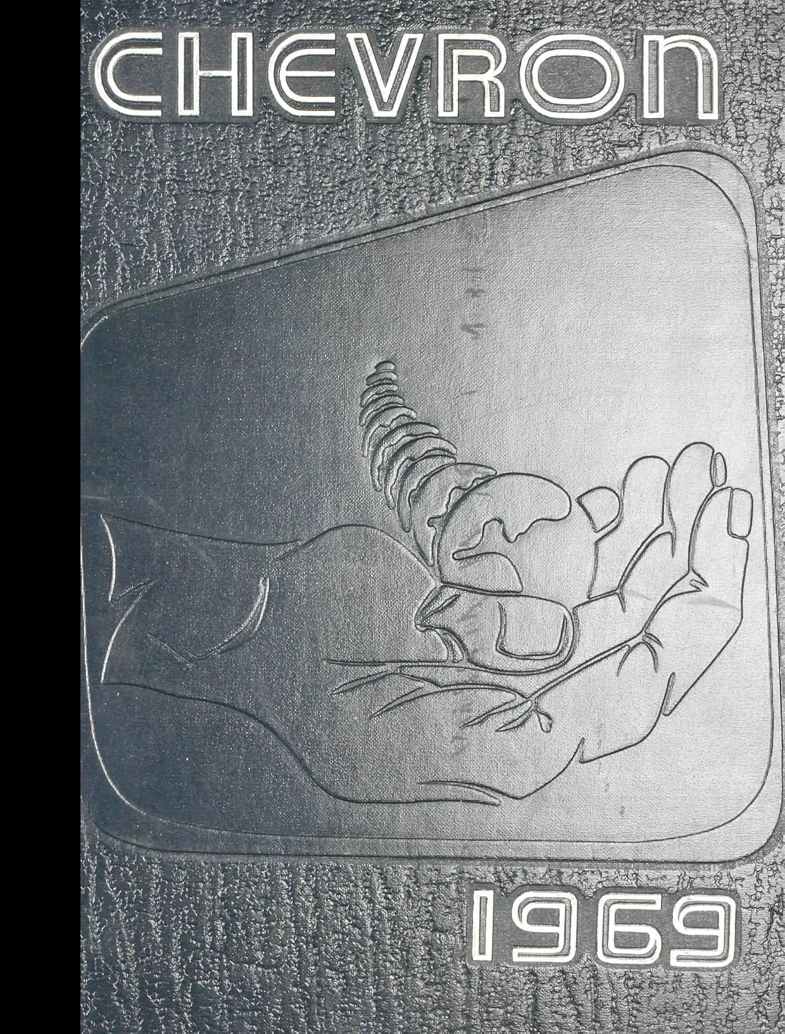 (Color Reprint) 1969 Yearbook Albion High School, Albion, New York