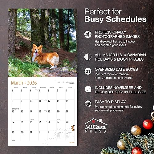 Miniatura 2 de MICASA Corgi Butts - Calendario mensual de pared colgante 2024  12 x 24 pulgadas abierto  Papel grueso y resistente  Regalar  Broma divertida linda