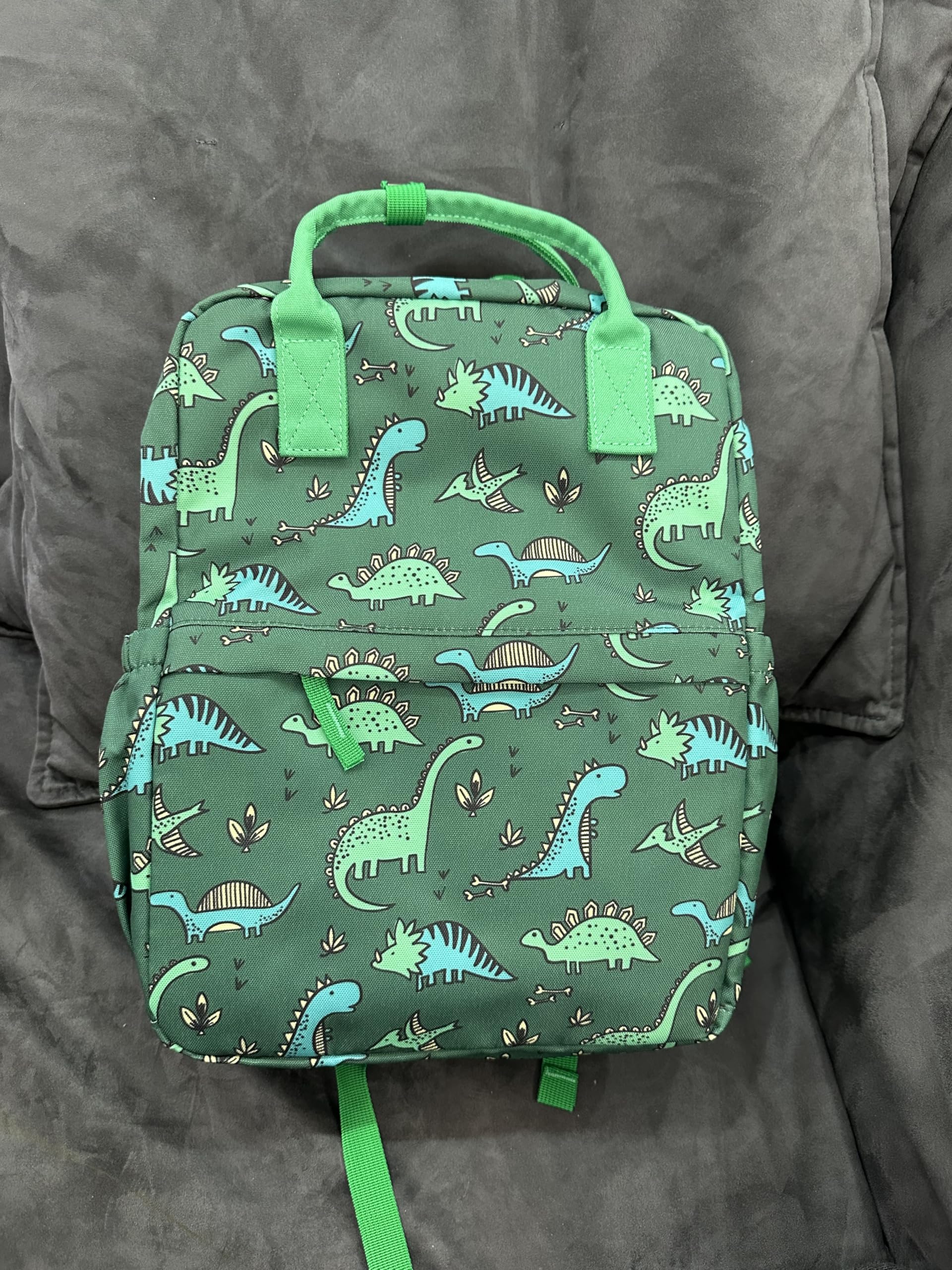KingCheer Toddler Backpack with Lunch Bag Box Set for Preschool Kindergarten Boys Girls Kids Small Backpacks School Bookbag for Elementary Primary(Green Dinosaur)