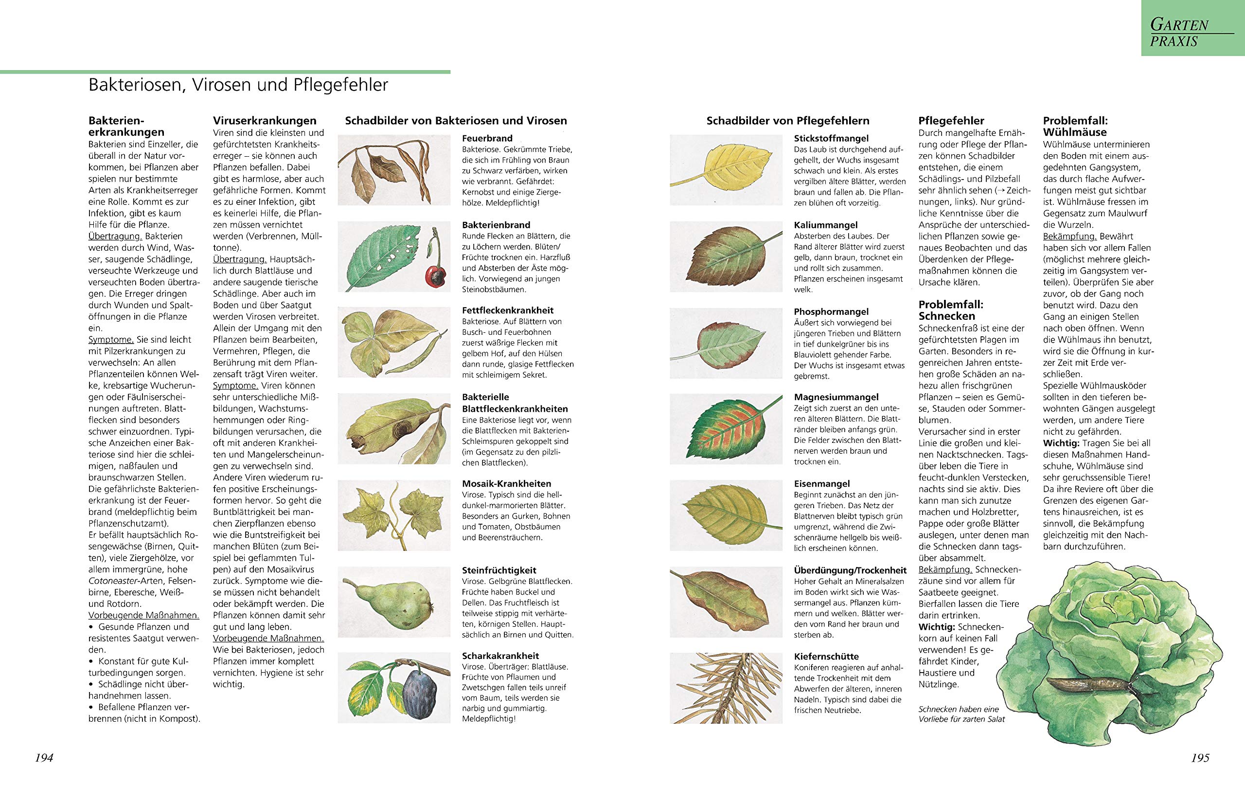 Das große GU Gartenbuch: Das Standardwerk für jeden Gartenliebhaber zu Pflanzenpflege, Gartengestaltung und Gartenpraxis | Garten-Ratgeber