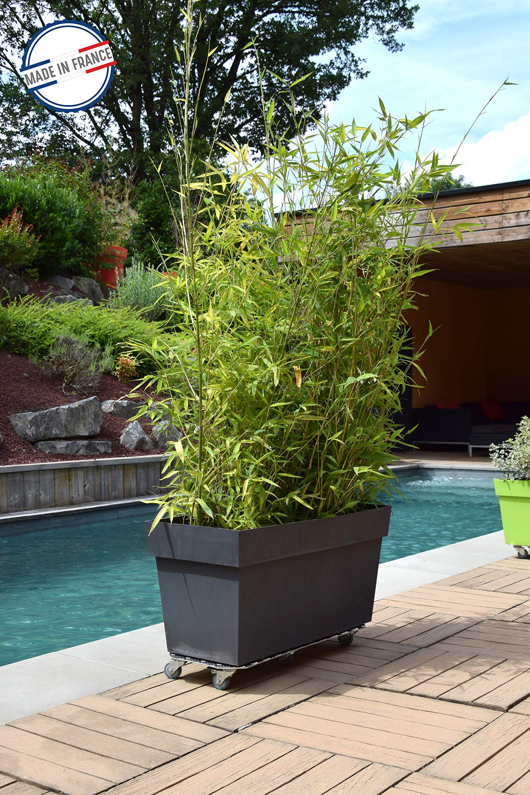 Louis Moulin Roule-Plante Aluminium - Spécial bac 70x30 cm - Made in France