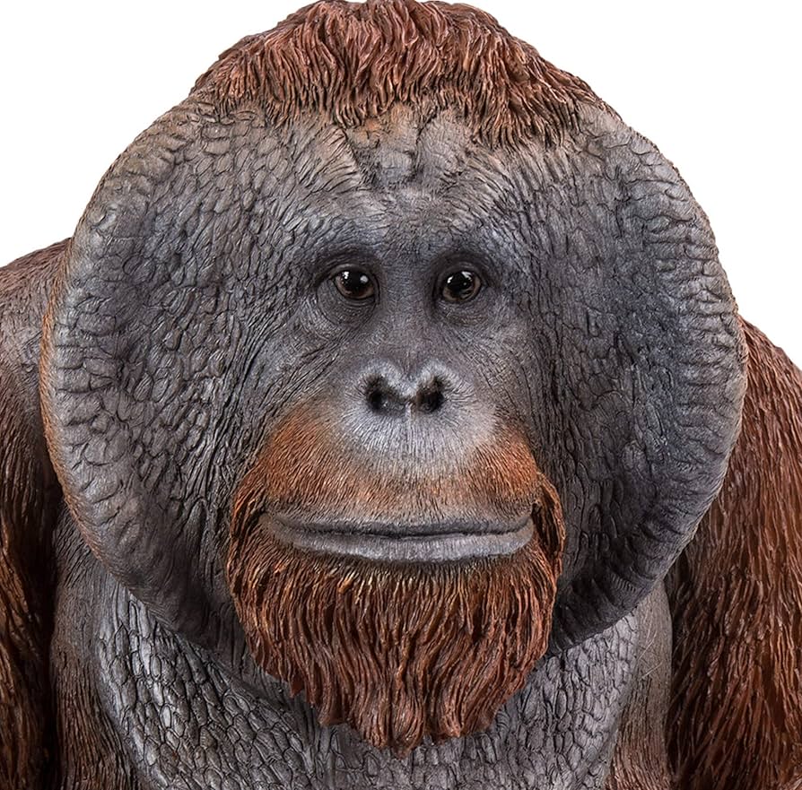Vivid Arts | Large Real Life Orangutan | Resin Home or
