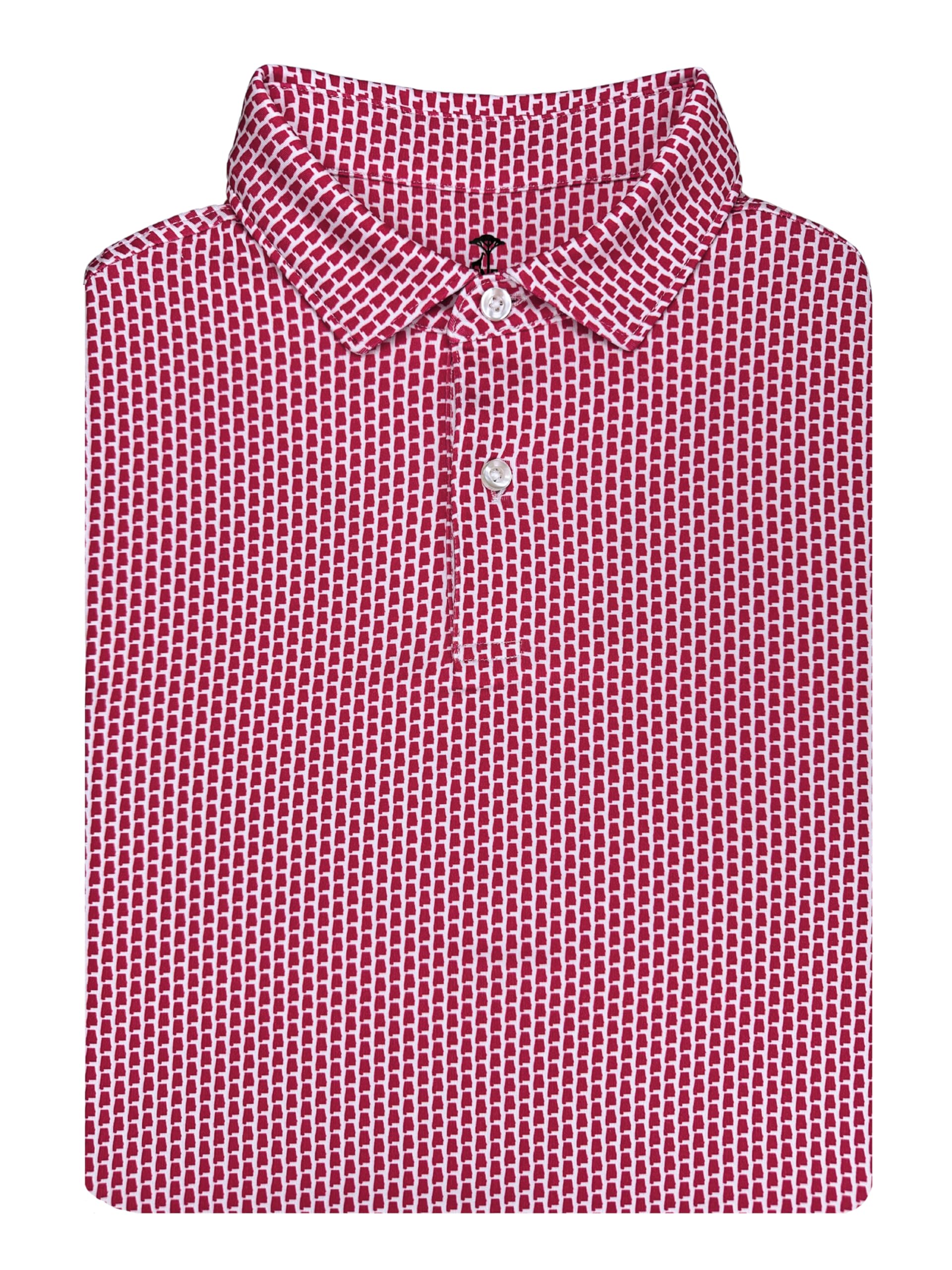 State Print Golf Shirt for Men
