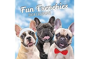 Fun Dogs Bulldog Calendars 2024 Wall - Frenchies