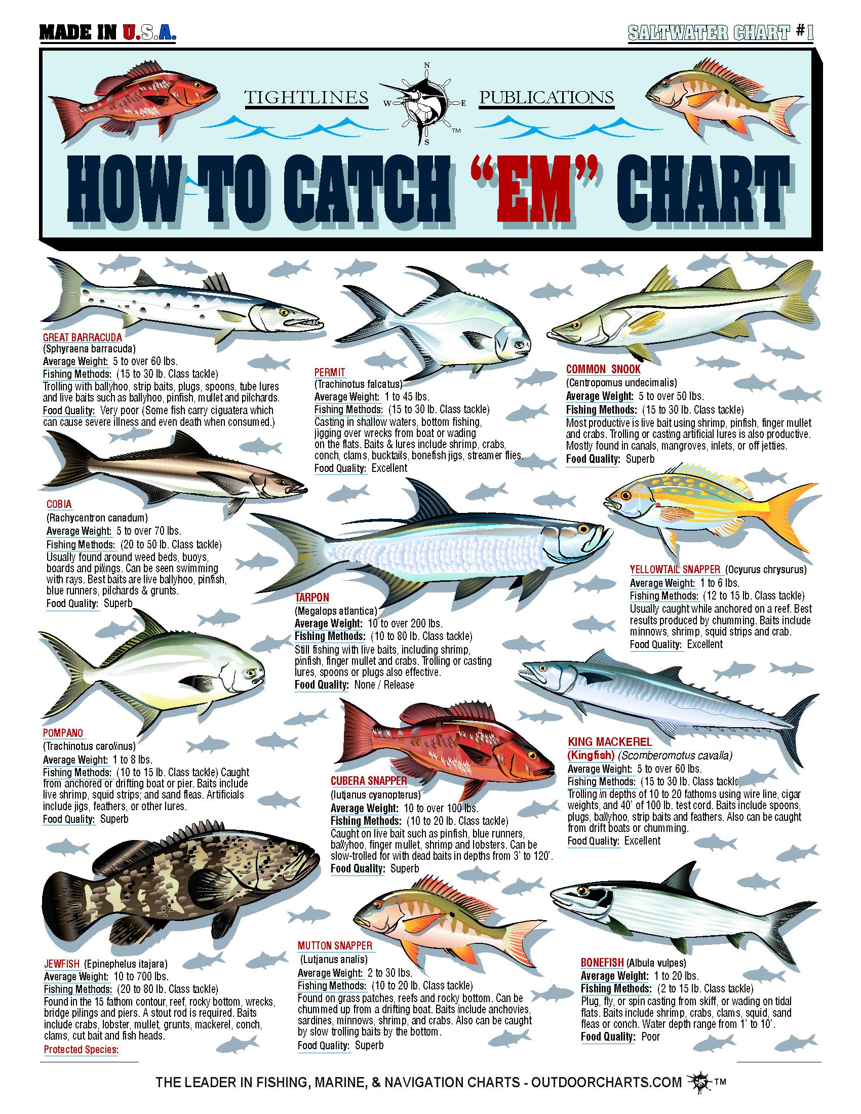 Saltwater Fish Identification Chart #1 - Waterproof Quick Reference Fishing Guide - Species ID + Fishing Methods - (Florida, Atlantic, Gulf of Mexico, and Caribbean) - Great Gift for Beginners
