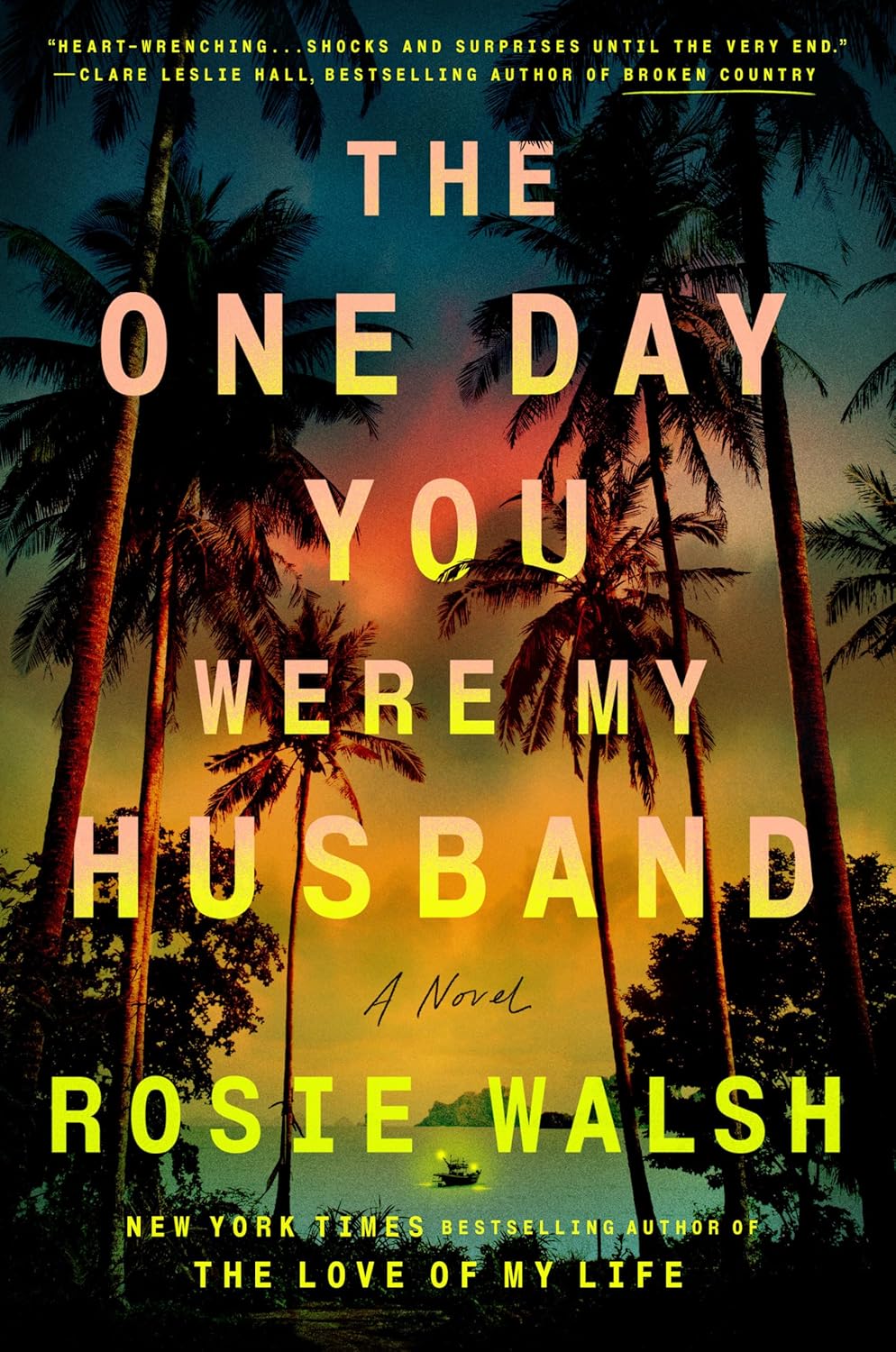 The One Day You Were My Husband: A Novel      Hardcover – May 19, 2026