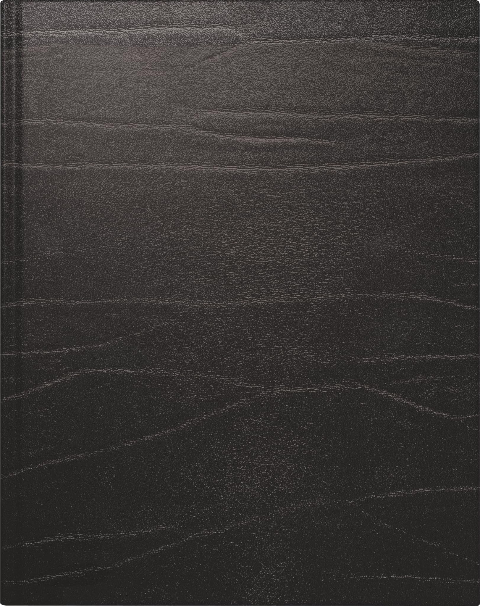 rido/idé Buchkalender Premium Mod. Managerkalender TM 2027 | 20,5×26 cm, Leder, schwarz