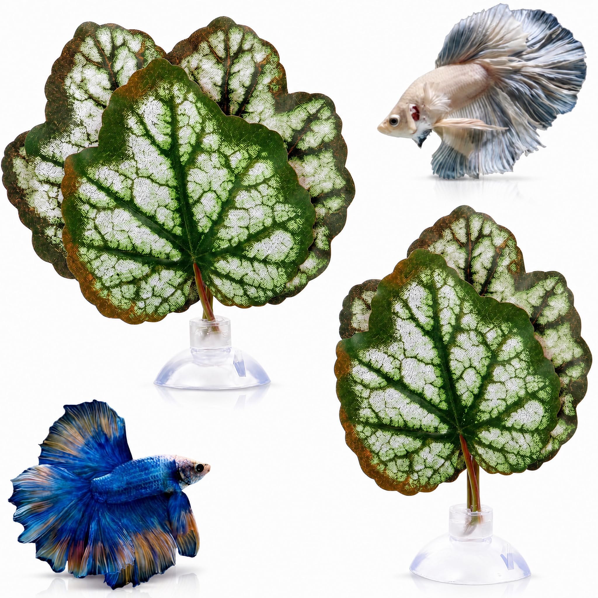 Hamac en feuilles de poisson Betta Balacoo x2 avec ventouse pour le repos en aquarium
