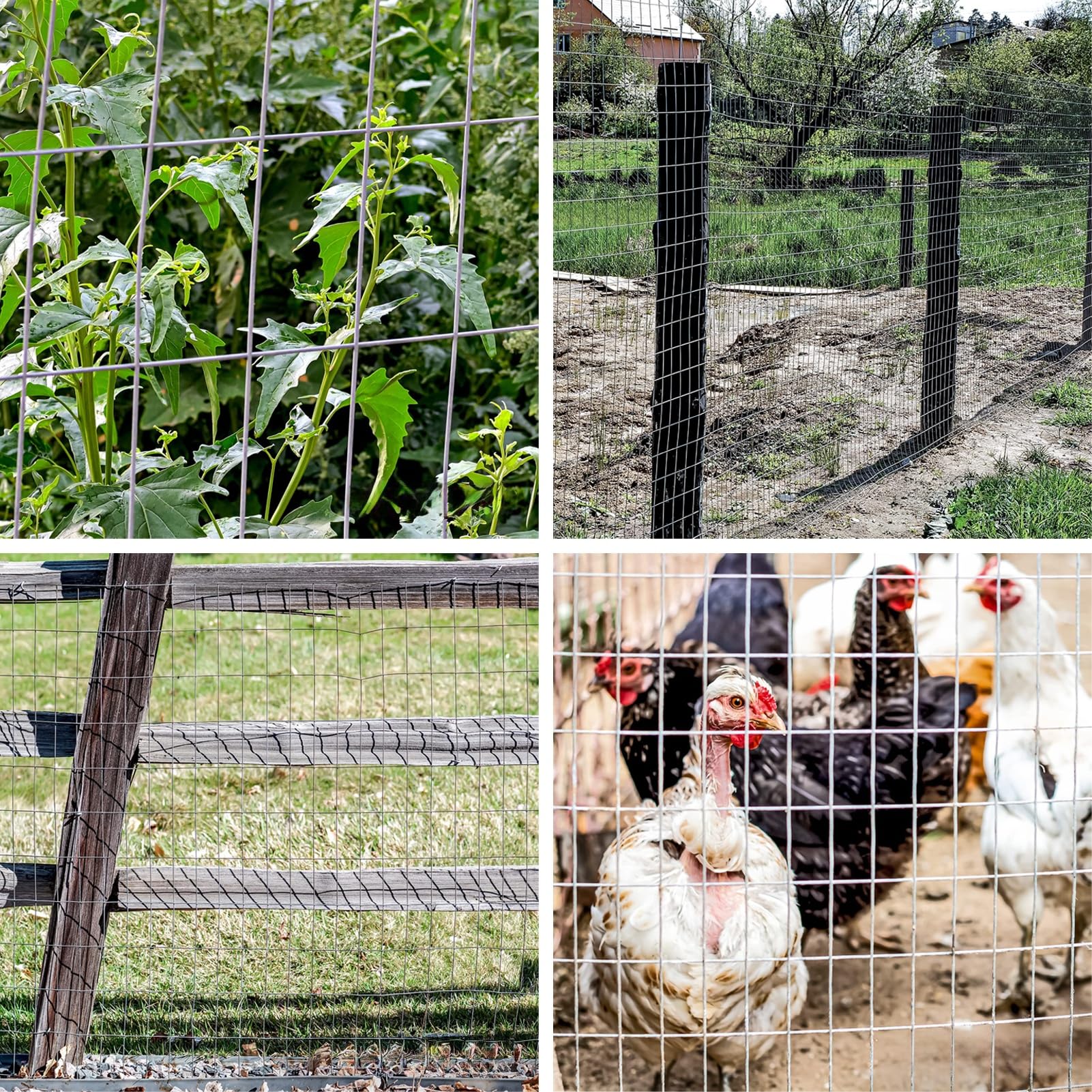 Valla de Alambre soldada de Acero Inoxidable para gallinero - Malla metálica de 1 x 10 cm para jardín, Red para pájaros y jaulas para Mascotas - Rollo de Malla Resistente (1,2 x 8 m / 47,2 x