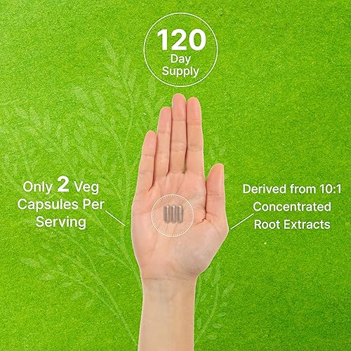 Miniatura 4 de DEAL SUPPLEMENT Rhodiola Rosea con Ashwagandha 5,000 mg por porción, 240 cápsulas vegetales  Extracto de raíz 101 de fuerza máxima  Suplementos