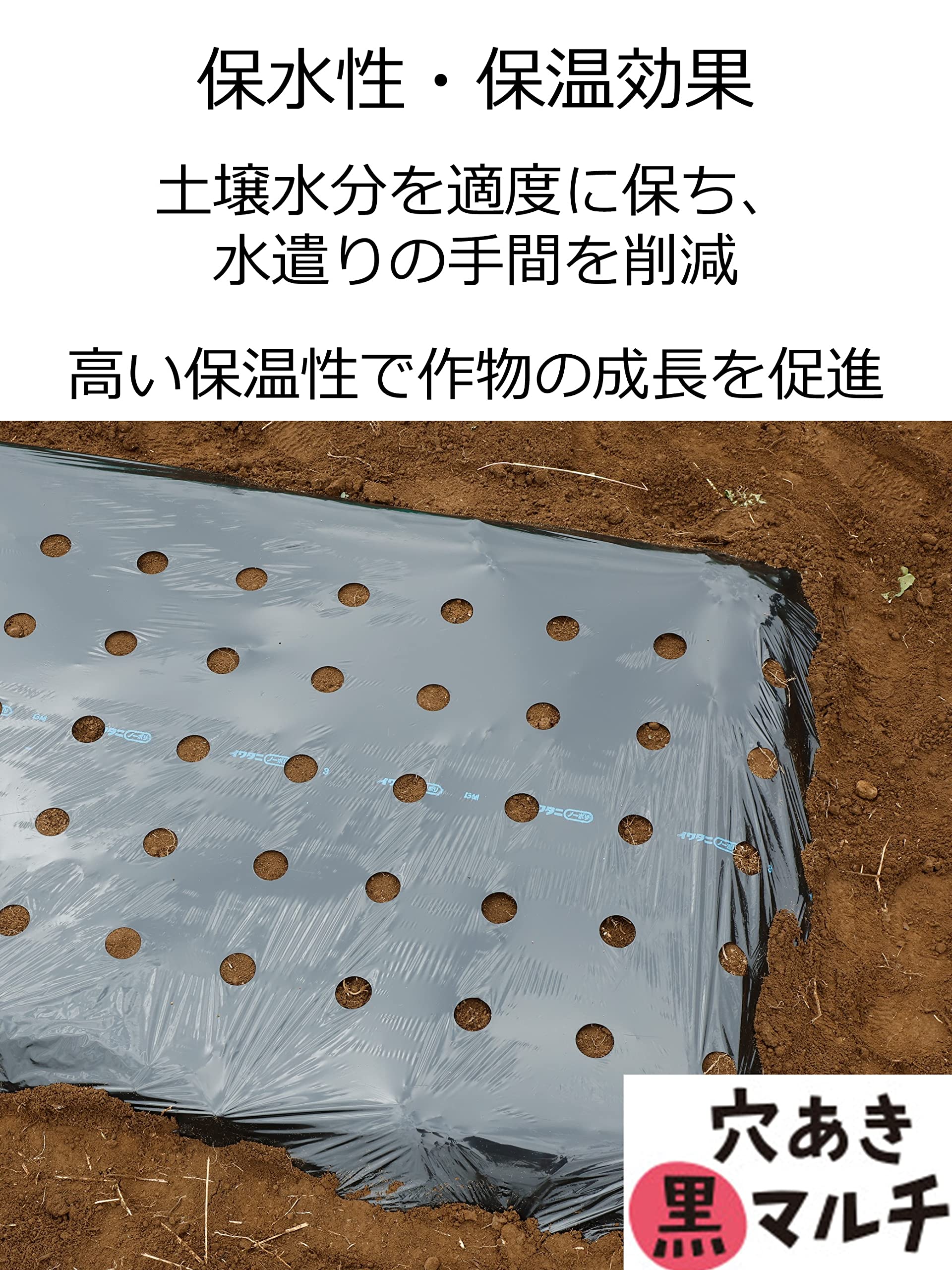 Amazon.co.jp: 岩谷マテリアル イワタニ菜園穴あき黒マルチ