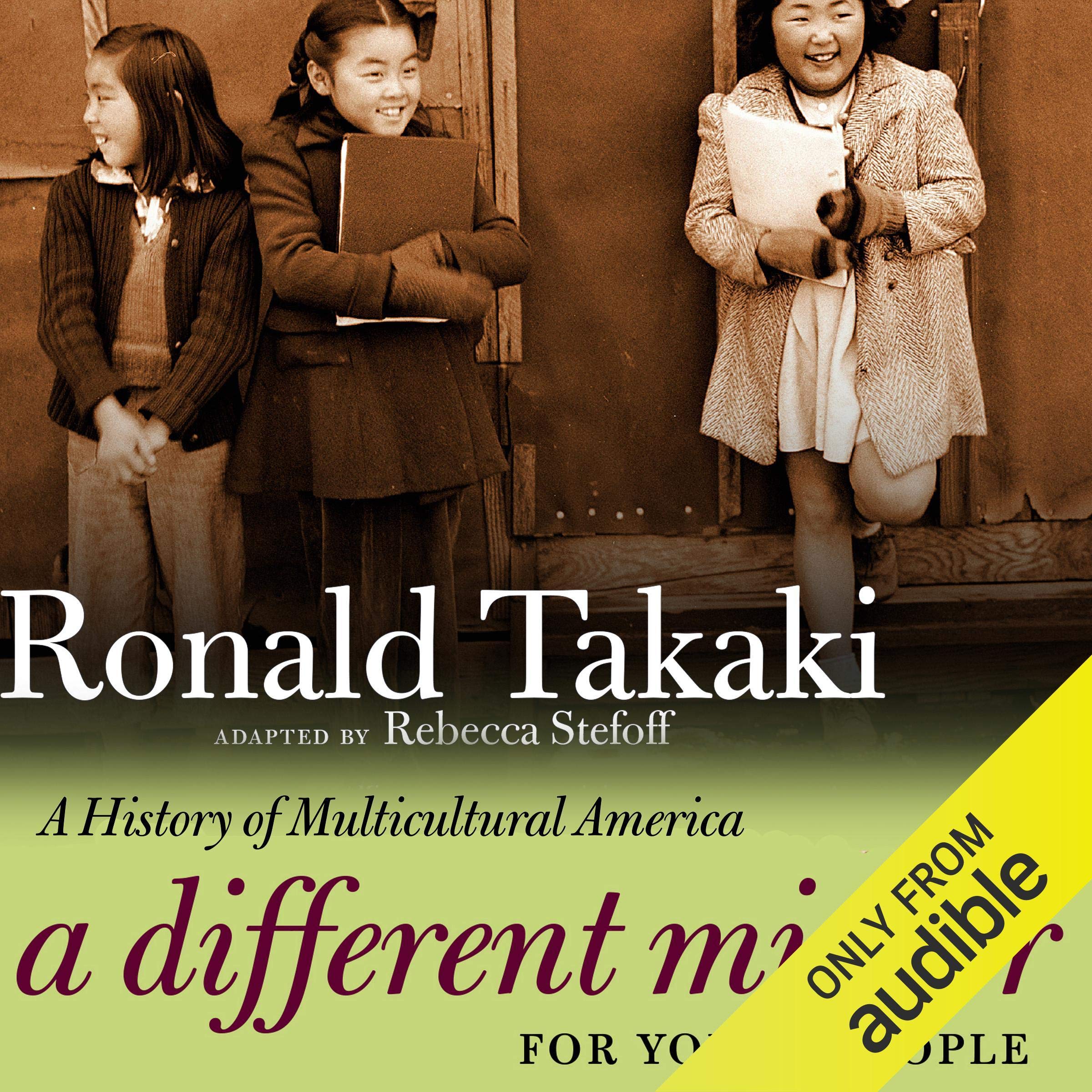 Cover art for A Different Mirror for Young People