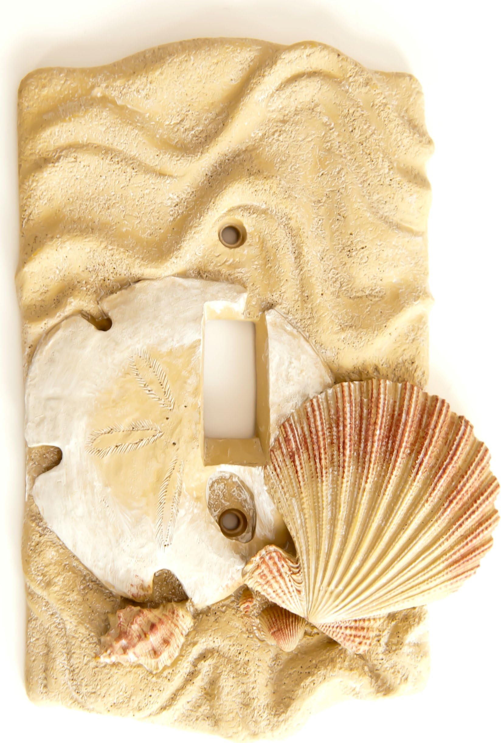 Sand dollar shells single Switchplate Cover