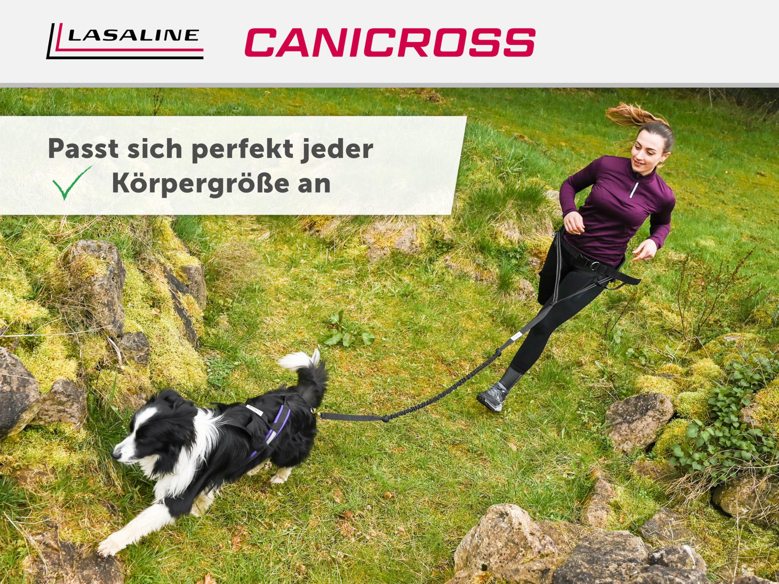Hunde Zuggeschirr X Back für Canicross Hundesport Dogscooter Bikejöring Schlitten in Schwarz
