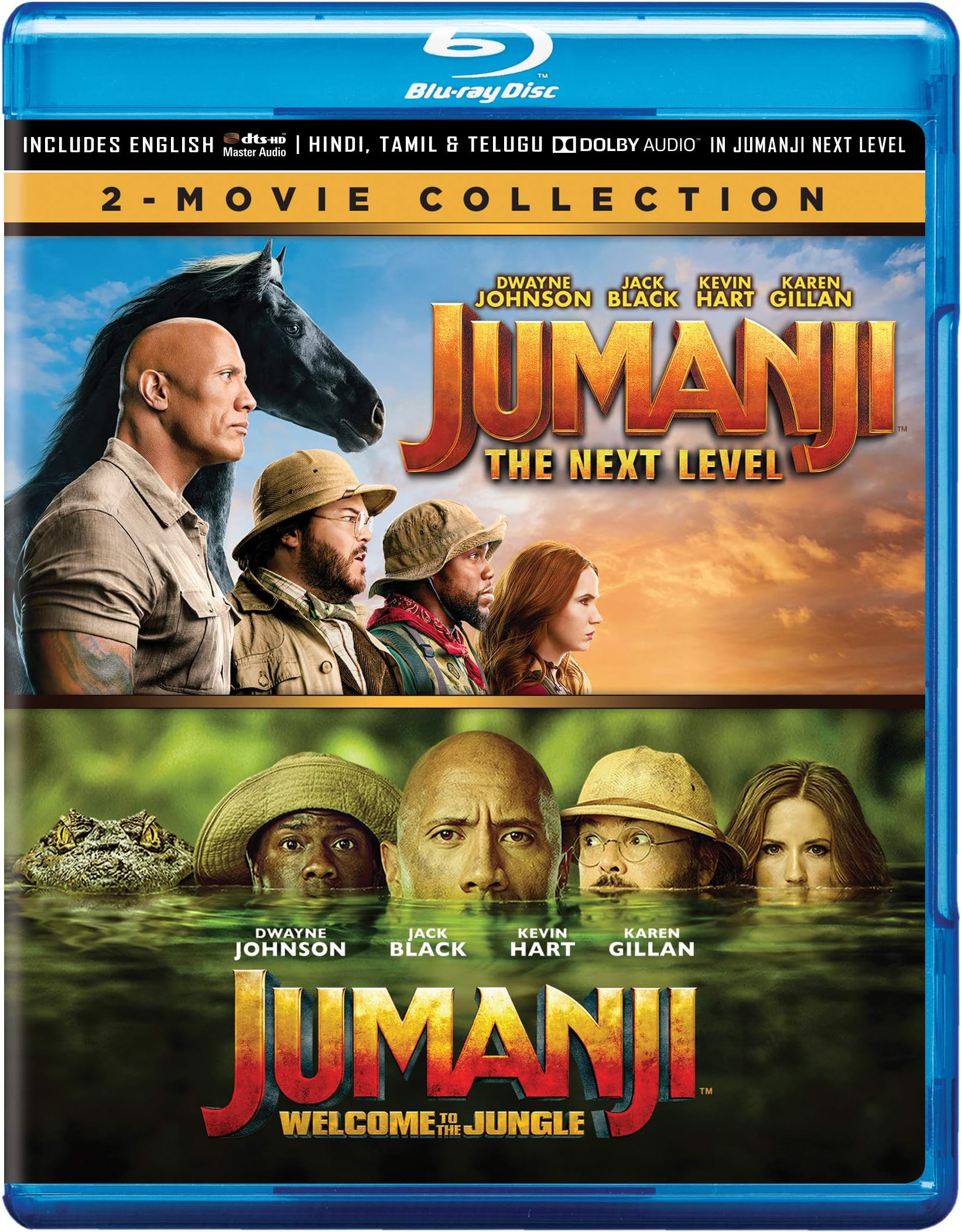 Jumanji 2 Movie Collection - Jumanji: Welcome to the Jungle (2017) + Jumanji: The Next Level (2019) (2-Disc)