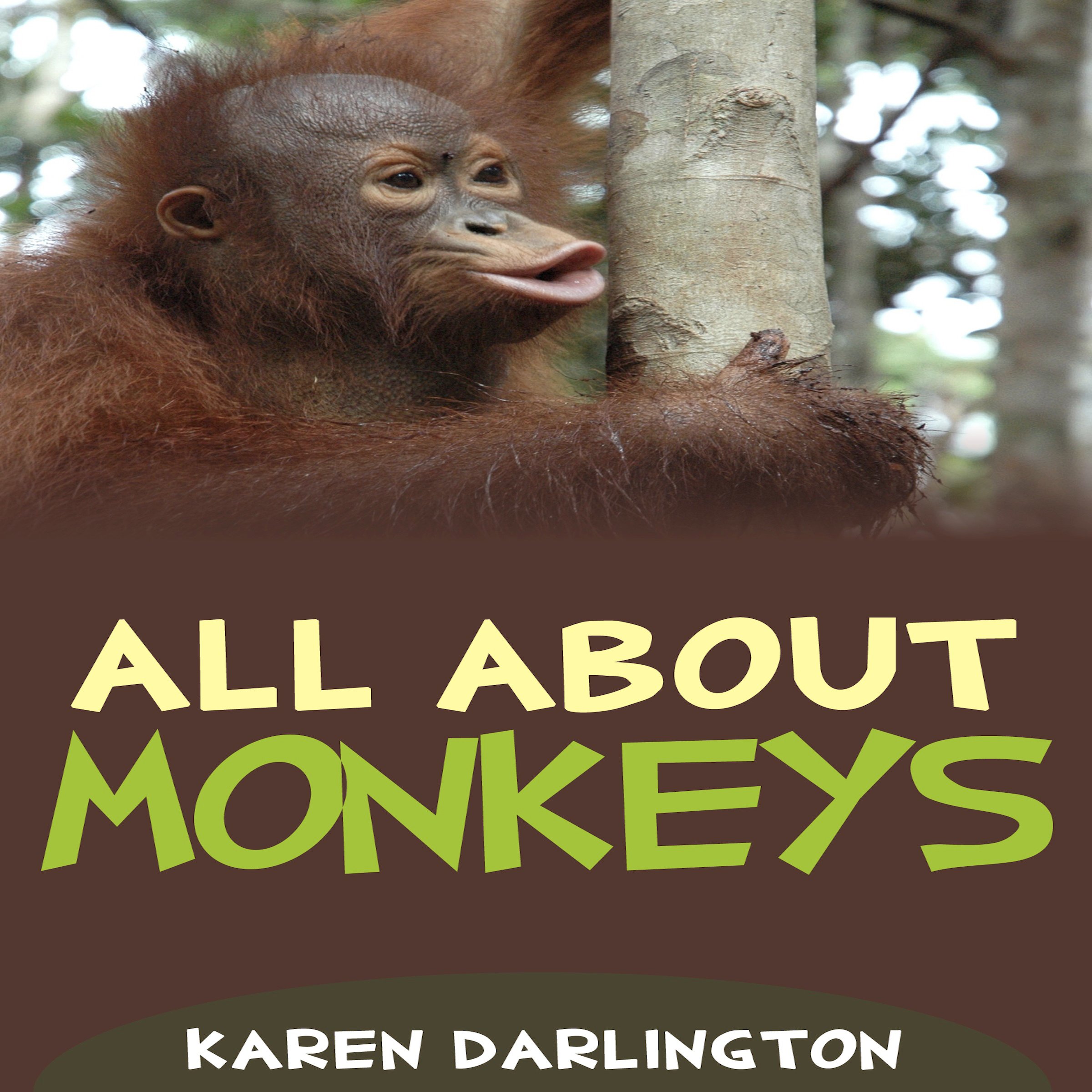All About Monkeys