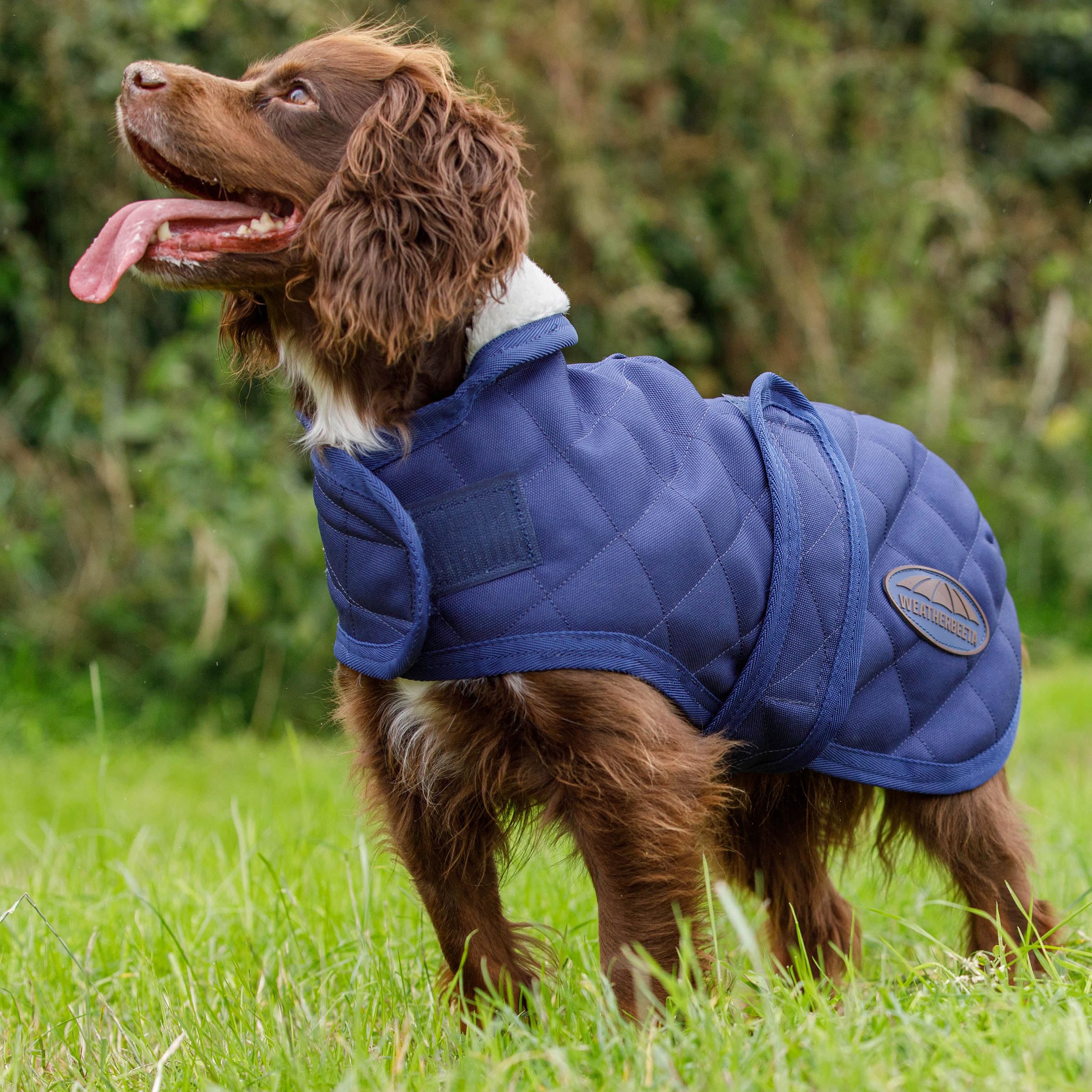 WeatherBeeta ComFiTec Deluxe Diamond Quilt Cappottino per cani, blu navy, 75 cm