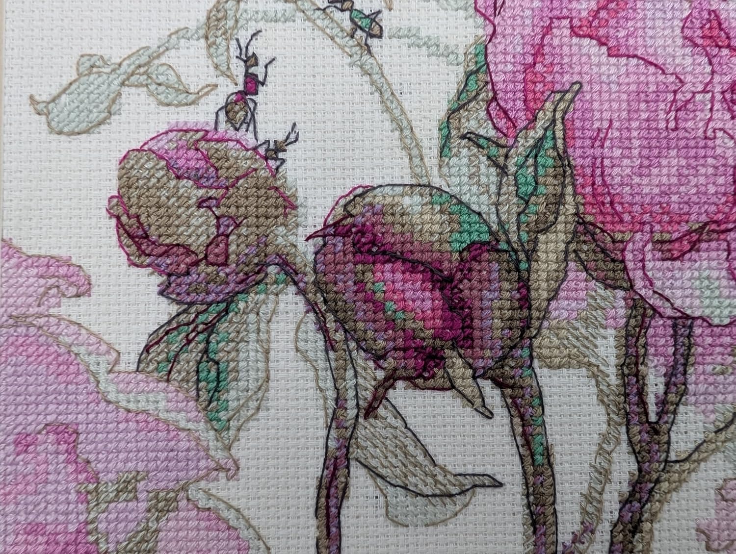 Aine - Peonies. Delight A1009, Cross Stitch Kits 7"x6", Cross Stitch Kits for Beginners & Advanced, Crossstitching Kits Adult, Counted Cross Stitch Kits for Adults, Flowers Embroidery Kit