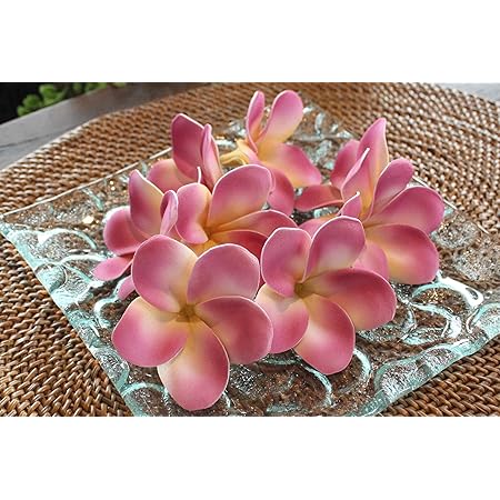 Amazon バリ フランジパニ プルメリア造花 6色 2 パックセット 飾り モチーフ 造花 オンライン通販