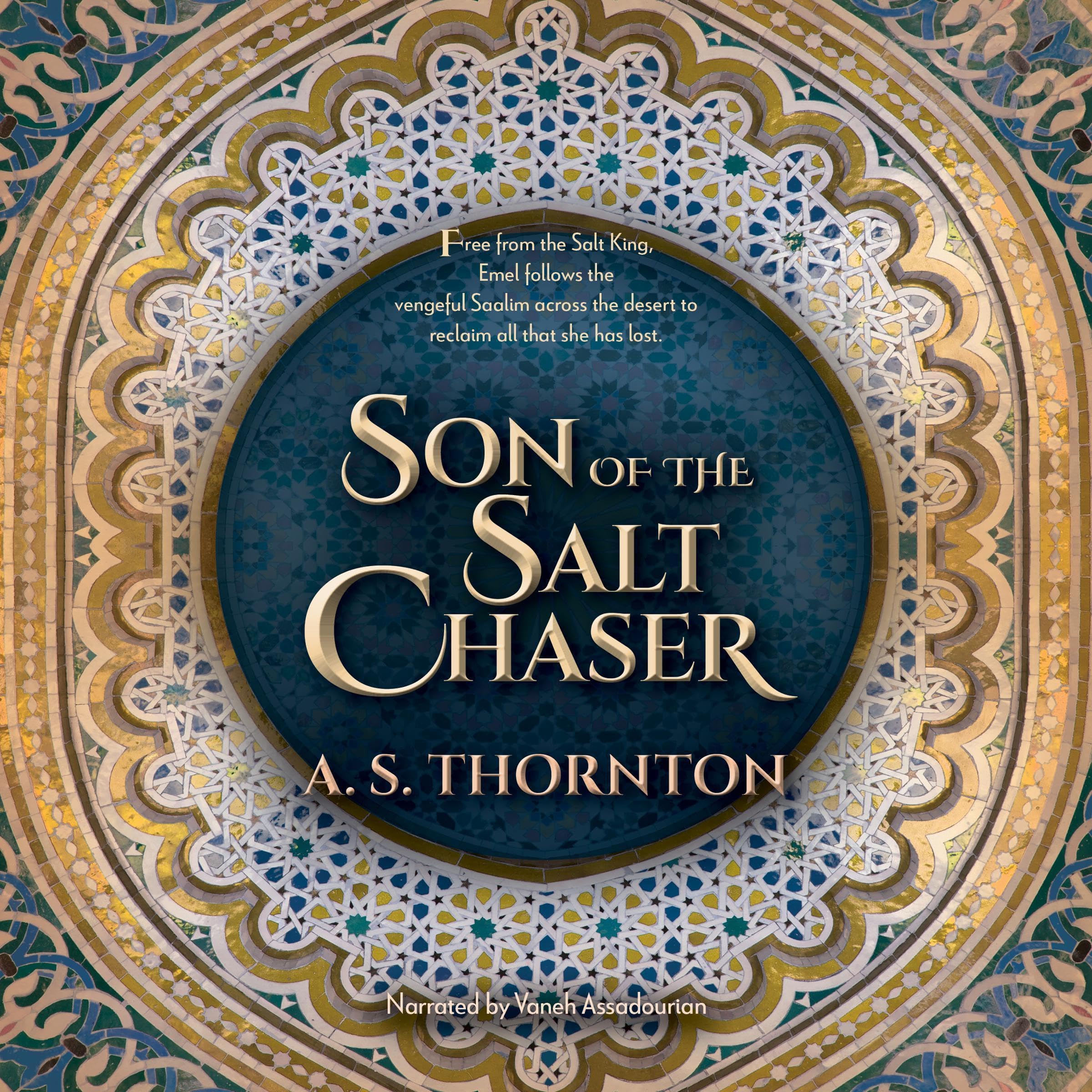 Cover art for Son of the Salt Chaser