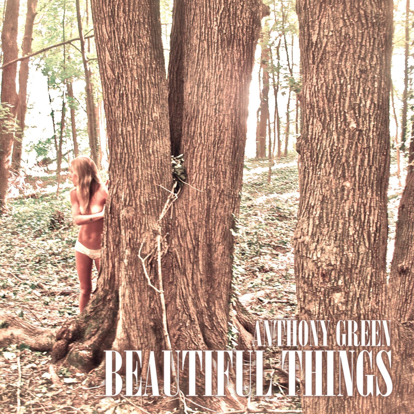 Beautiful Things [Audio CD] Anthony Green