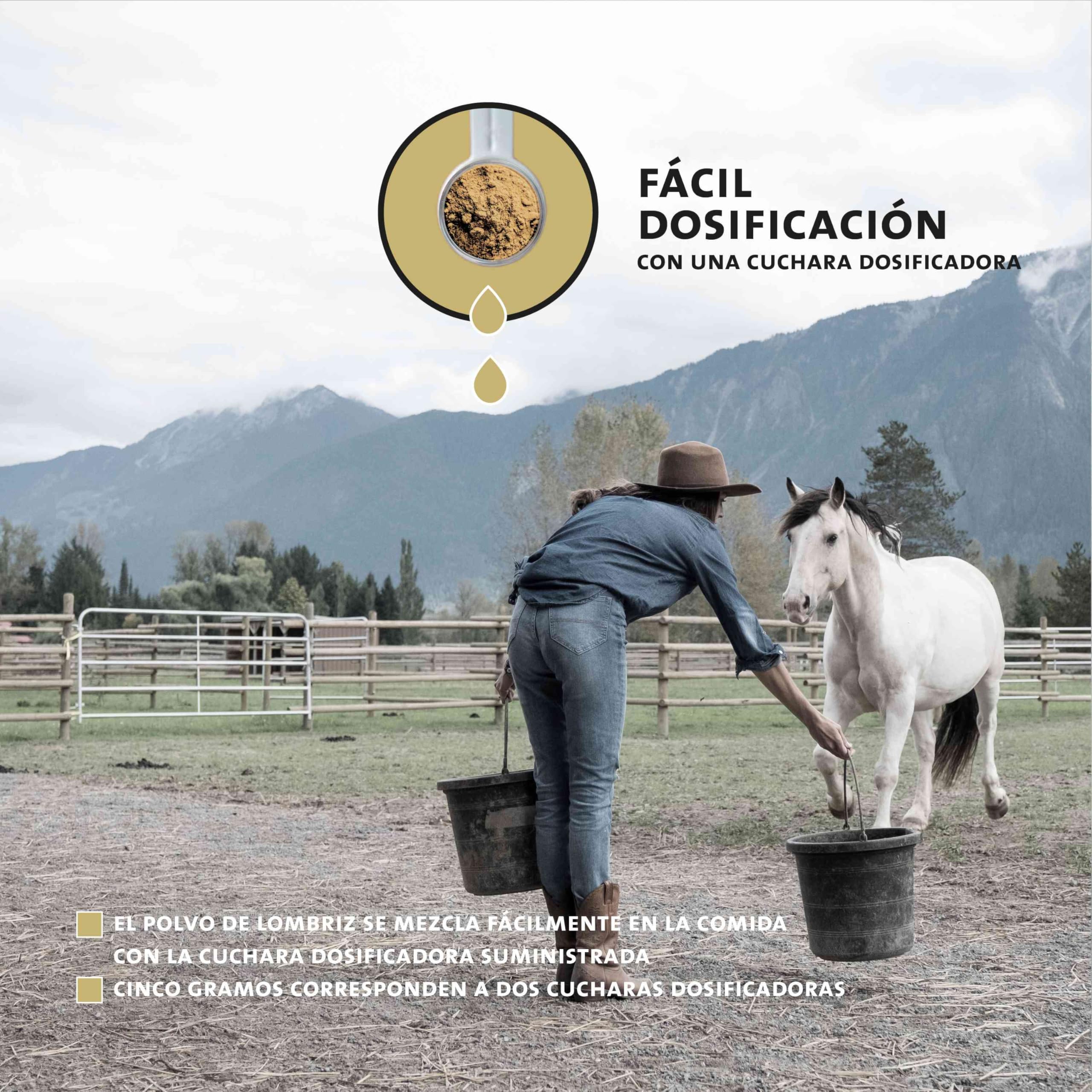 Peticare desparasitante en Polvo para Caballos | secundario a la desparasitación y la infestación del Gusano | para Caballos y Ponis | Ingredientes a Base de Hierbas, ajenjo | petHorse Health 4605