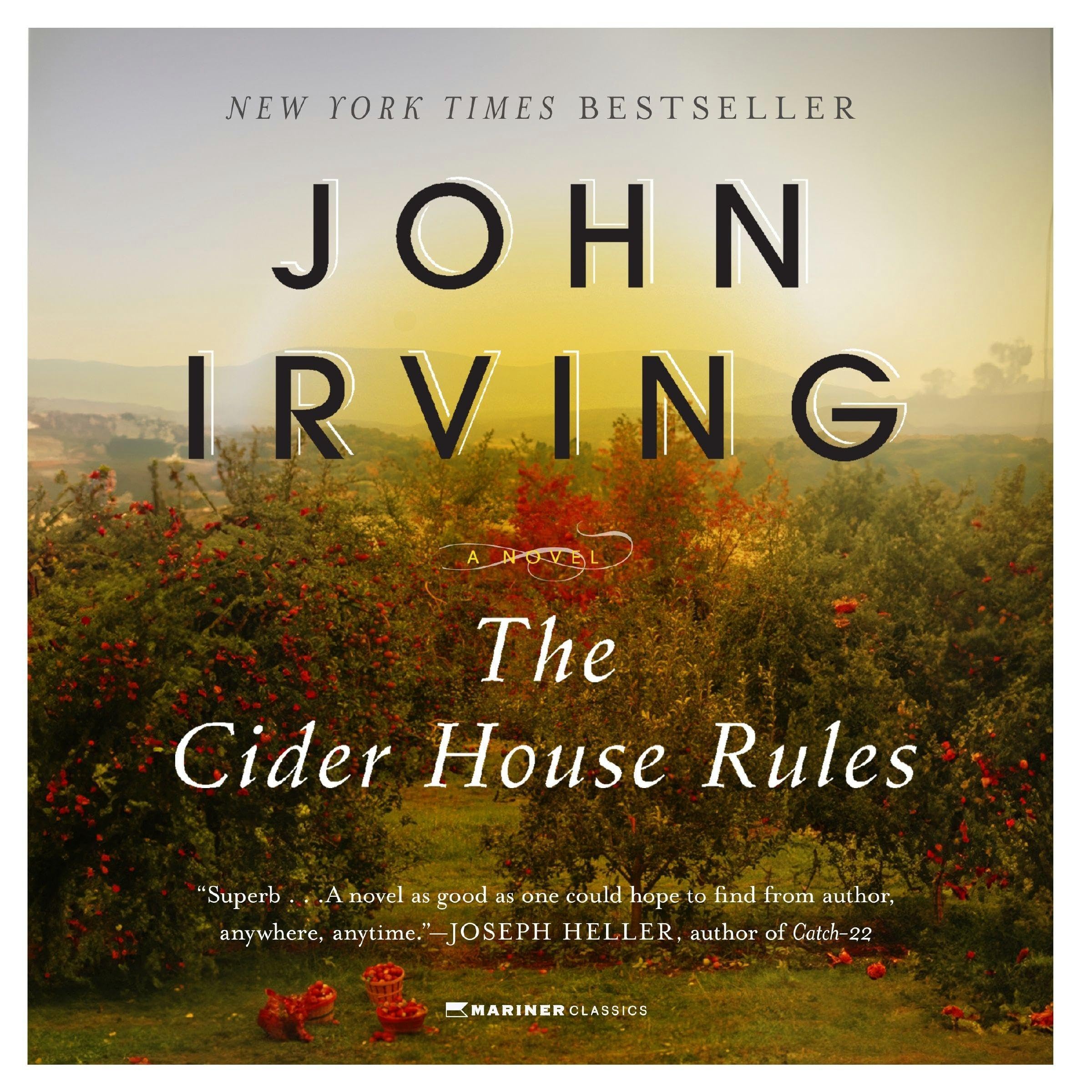 Cover art for The Cider House Rules