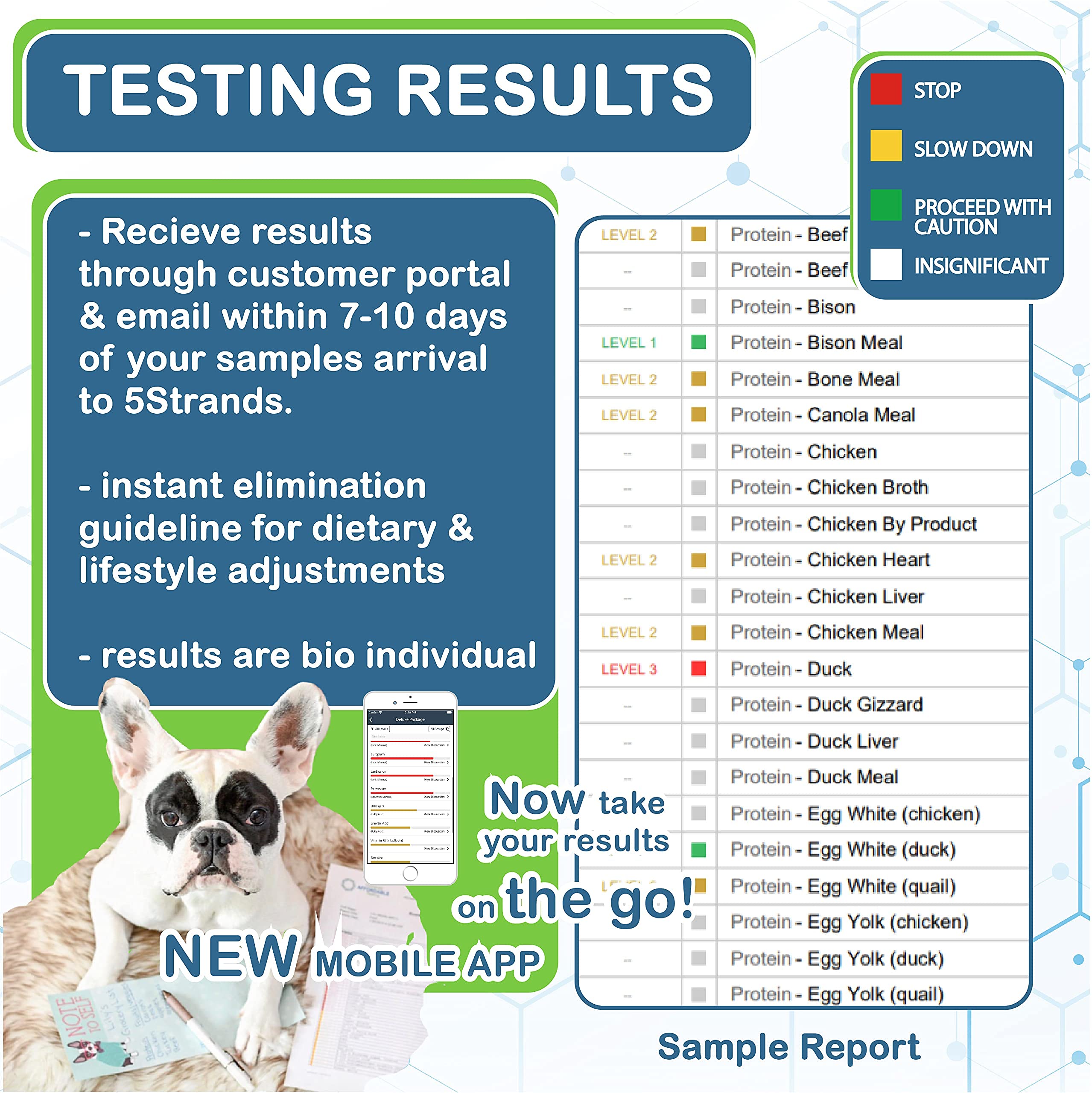 5Strands Pet Food and Environmental Intolerance Test, at Home Dog or