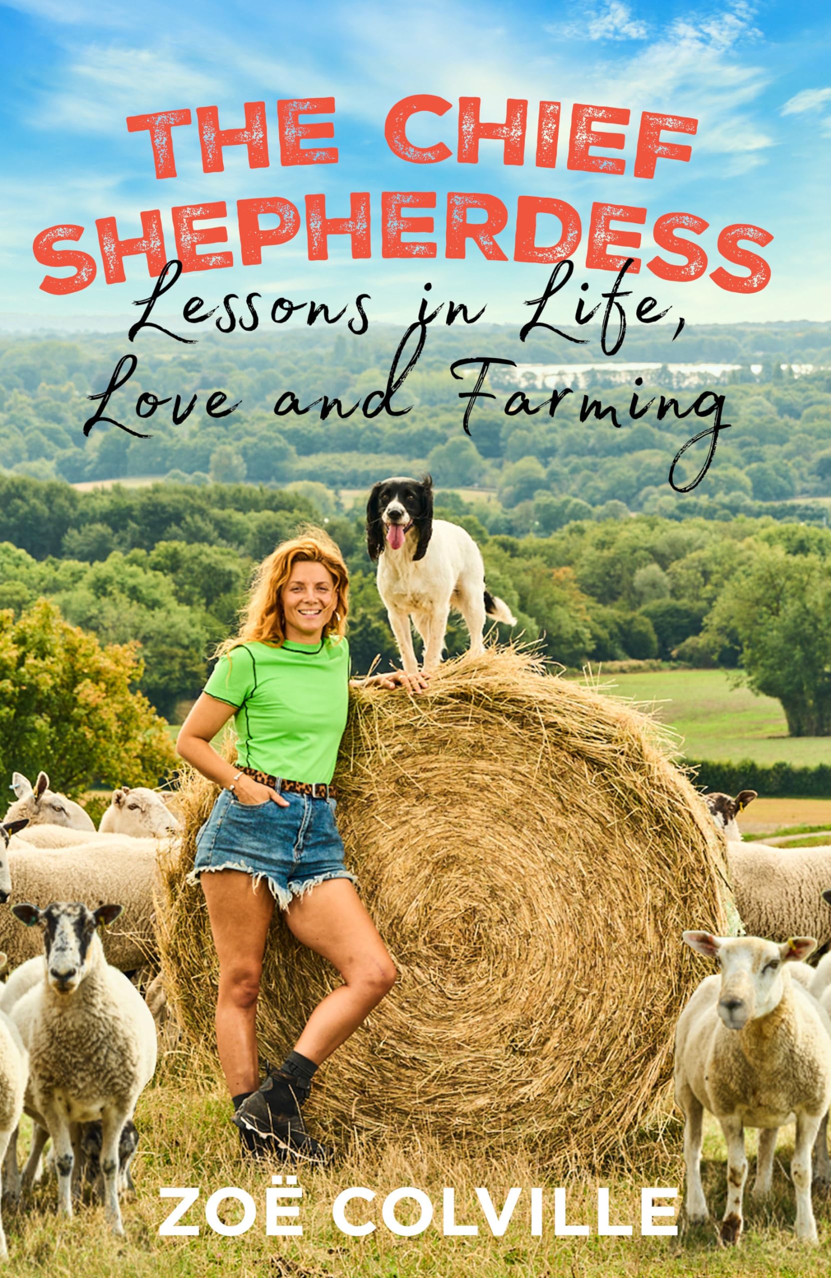 The Chief Shepherdess: Lessons in Life, Love and  by Zoe Colville HARDBACK