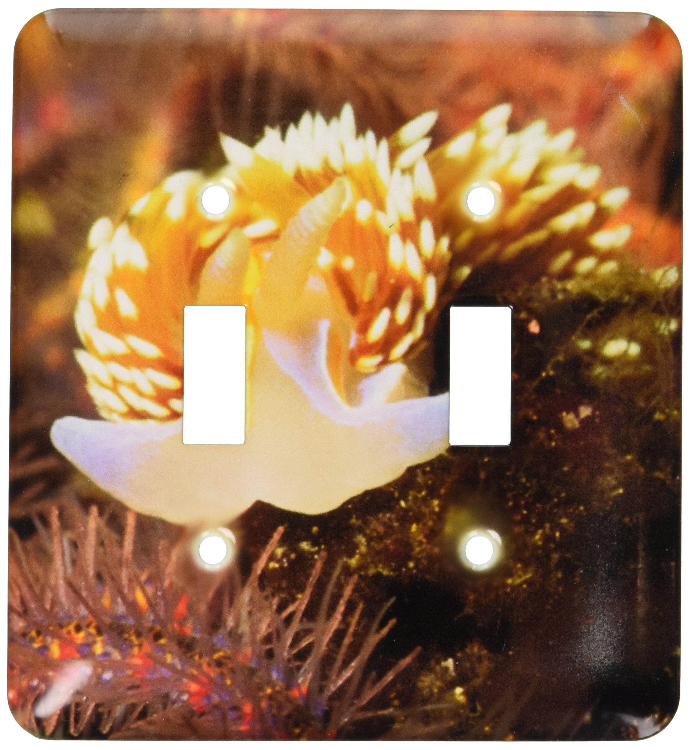 Interrupteur à baïonnette Horned Nudibranch 3dRose LSP_45885_2 avec motif haute définition