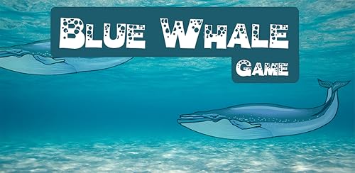Anti-stress Blue Whale