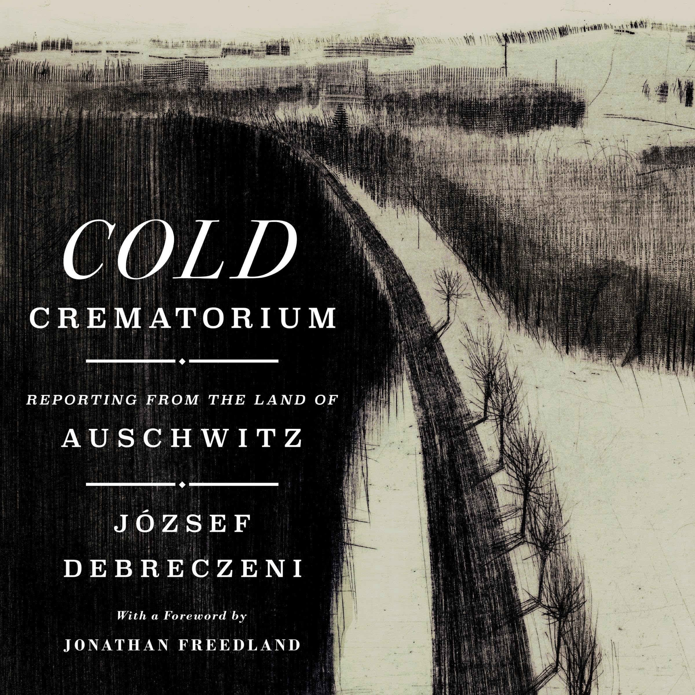 Cover art for Cold Crematorium