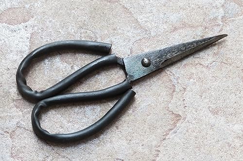 Crudo - Tijeras de cocina de acero al carbono asiáticas HD de 2.5 pulgadas, súper afiladas