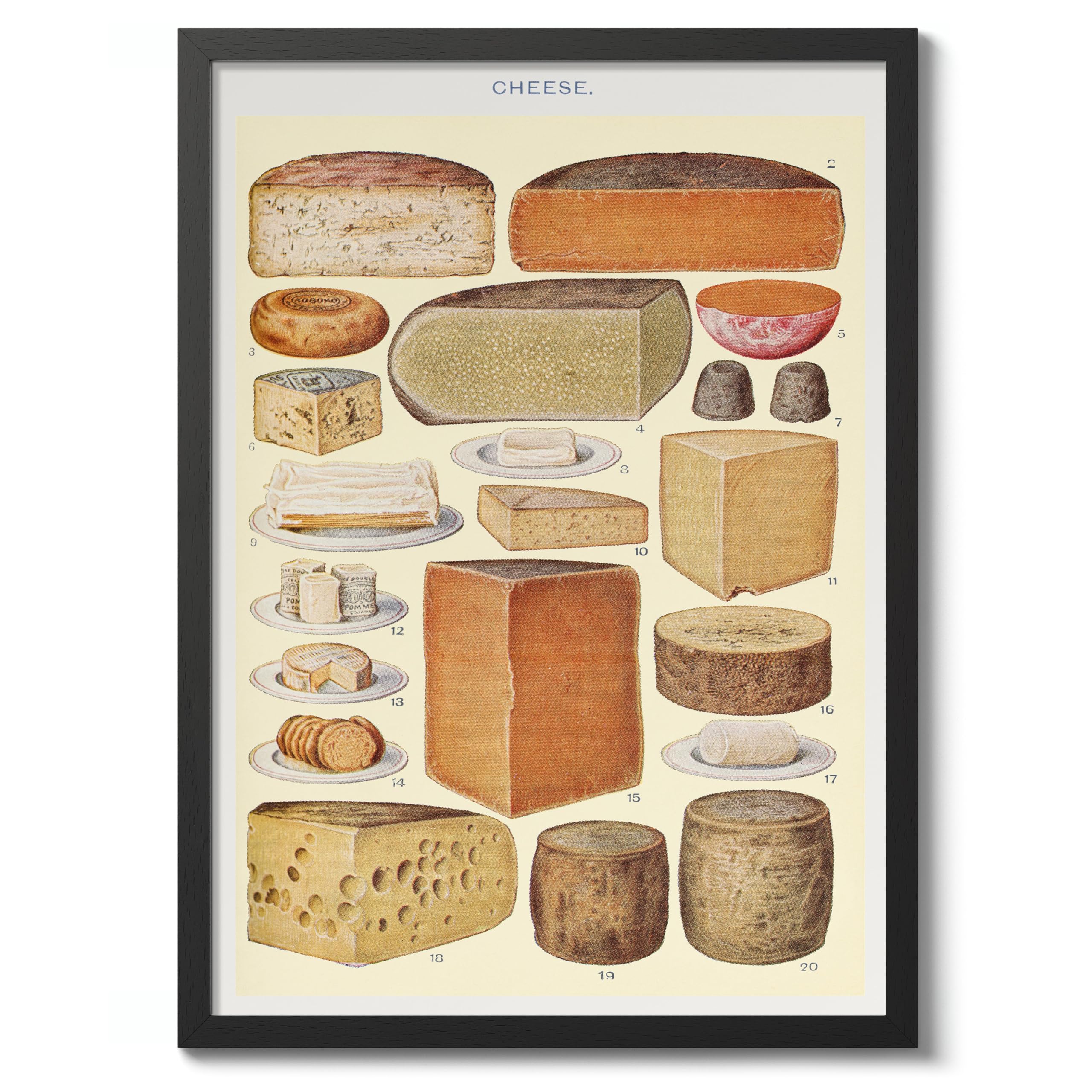 Cheese Poster, Vintage Botanical Art Prints, Retro Encyclopedia Illustration Wall Art Plants Botany Pictures, Bedroom Living Room Home Decor, A2 (Black Frame) - 62.5x45.1cm