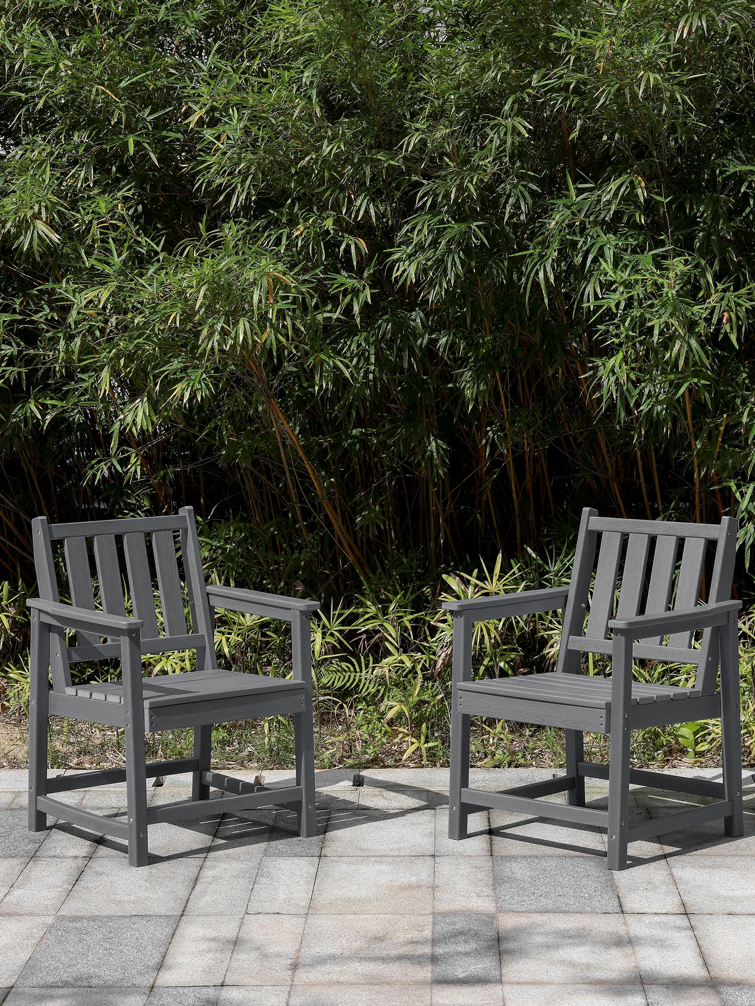 Patio Dining Chair Set of 2, Outdoor Dining Chair, Ergonomic Chairs with Deep Seating, All Weather Outdoor Chairs Furniture for Backyard, Deck, Garden, Poolside, Smoke Gray