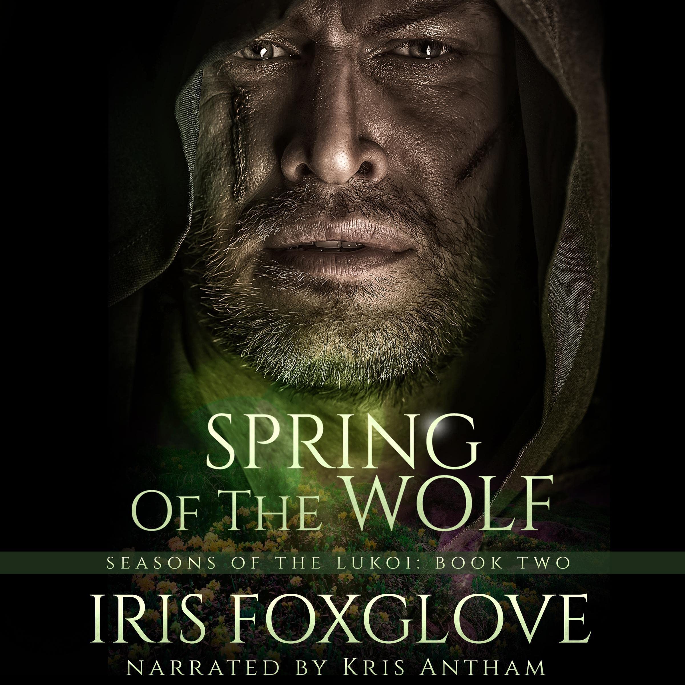 Cover art for Spring of the Wolf