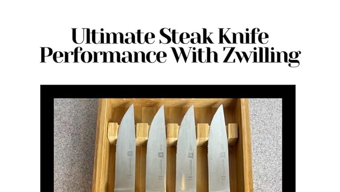 Amazon.com: ZWILLING 4-pc Steakhouse Steak Knife Set with