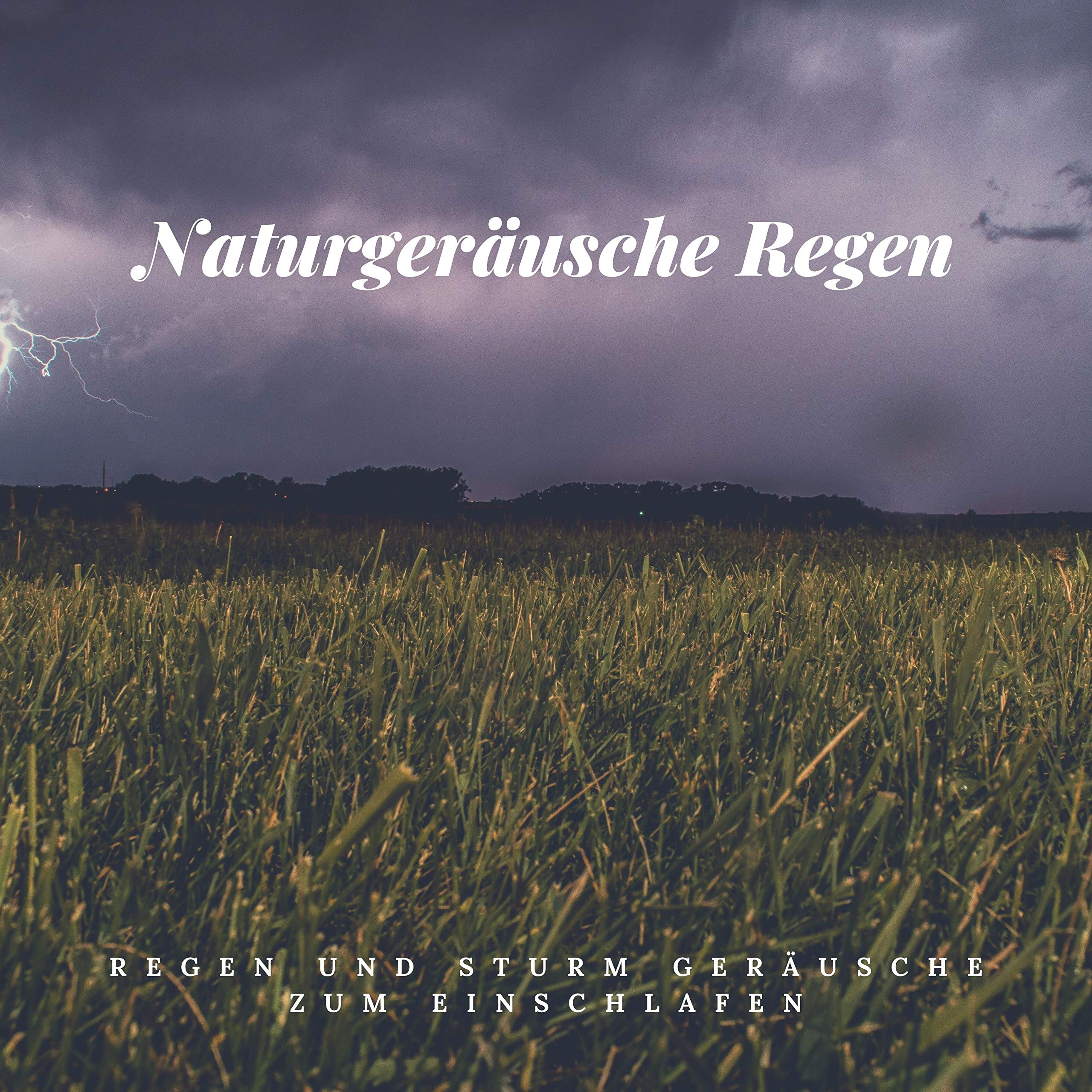 Naturgeräusche Regen