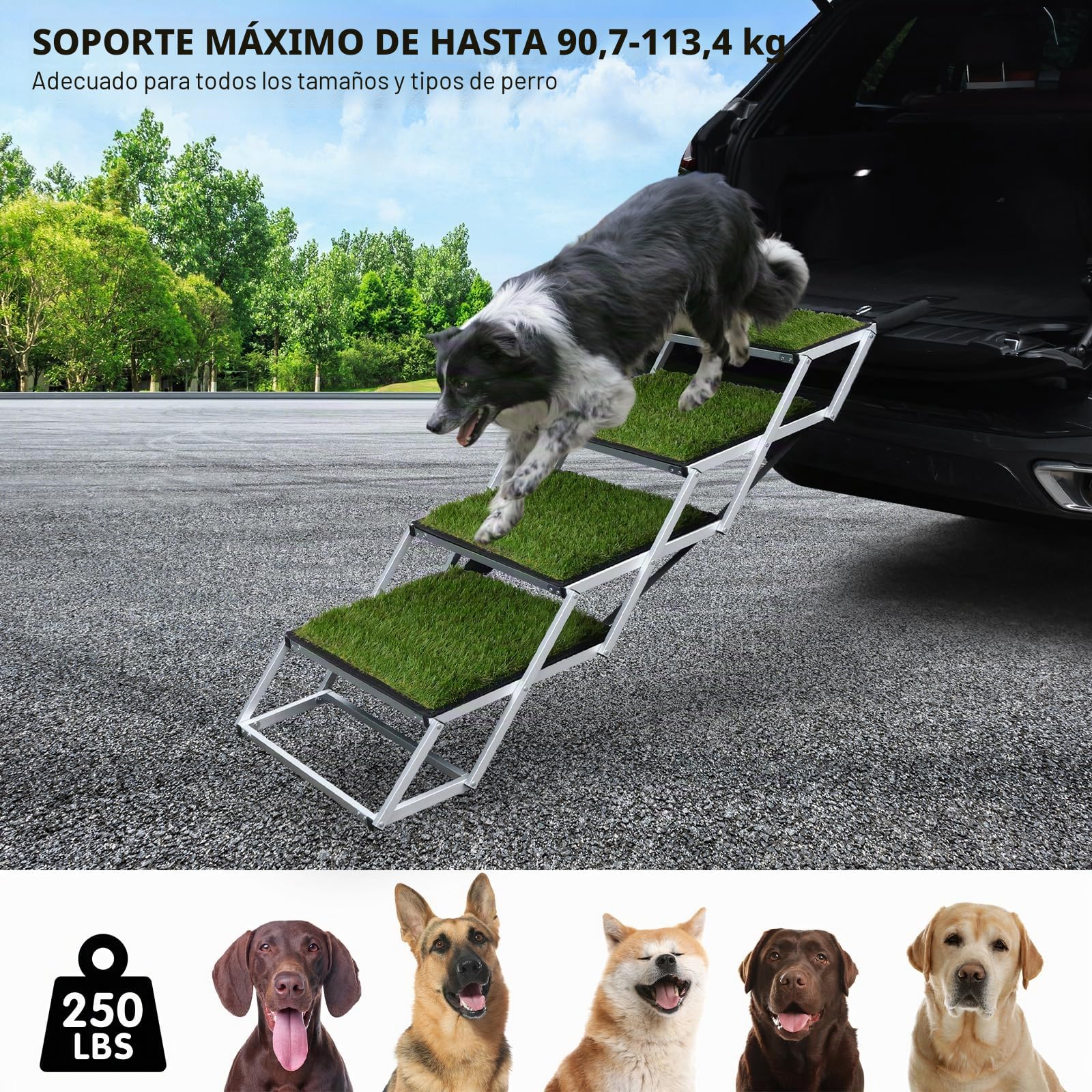 Escalera para perros para coche, rampa para perros, plegable, superficie antideslizante de césped artificial, ayuda para el acceso a todos los vehículos, altura ajustable, soporta hasta 80 kg