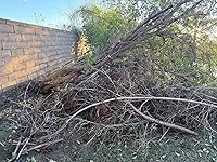 Review Image by Frank the Tank Frank the Tank