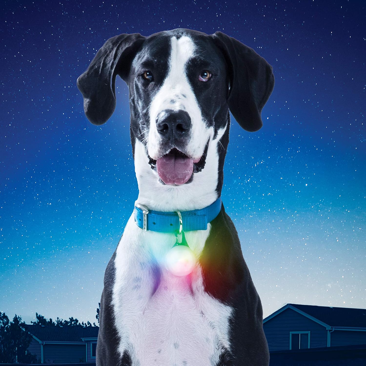 spotlit led collar light
