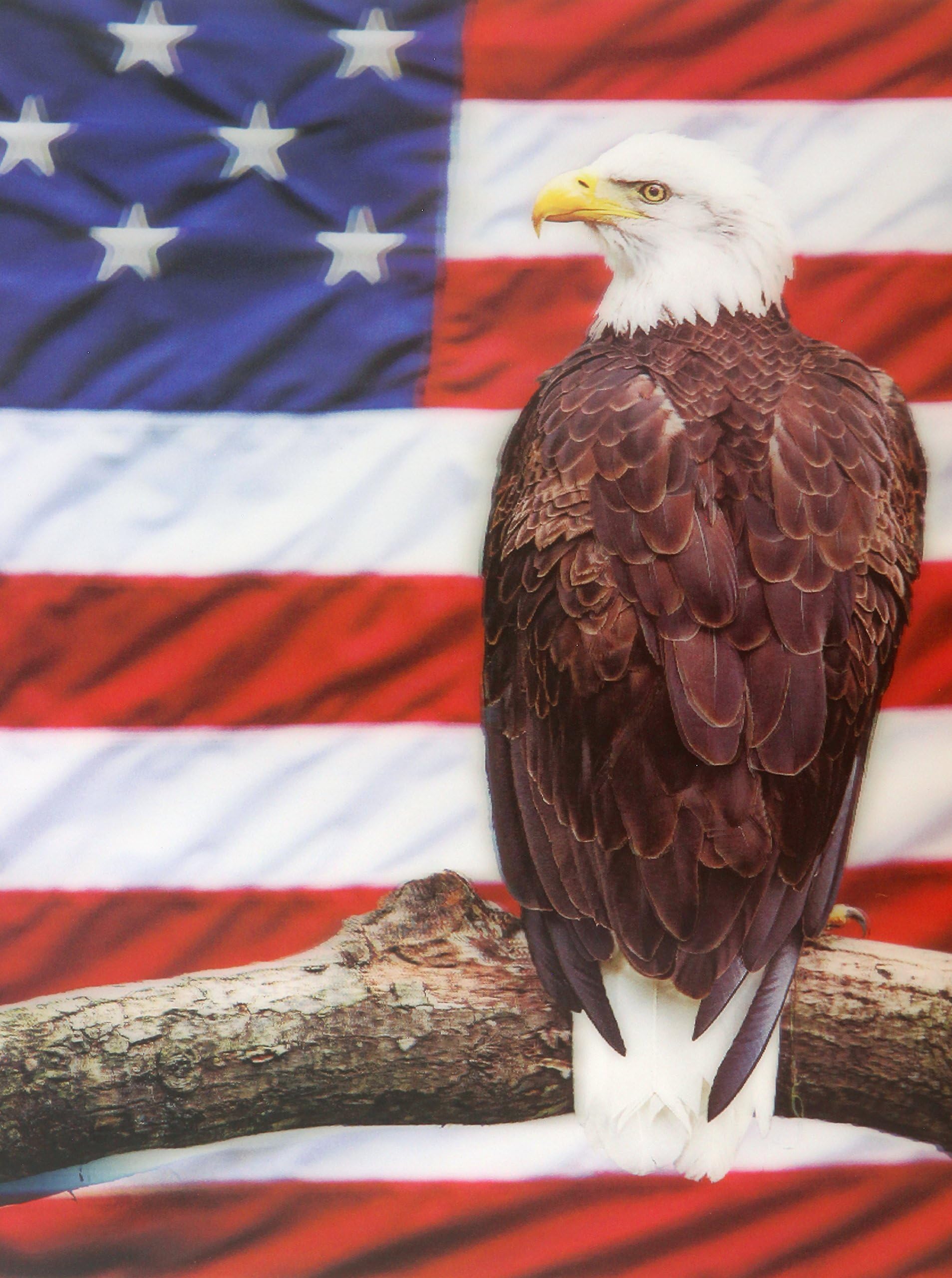 Those Flipping Pictures Bald Eagle 3D UNFRAMED Holographic Wall Art-Lenticular Technology Causes The Artwork to Have Depth and Move-Hologram Style Images-Holographic Optical Illusions