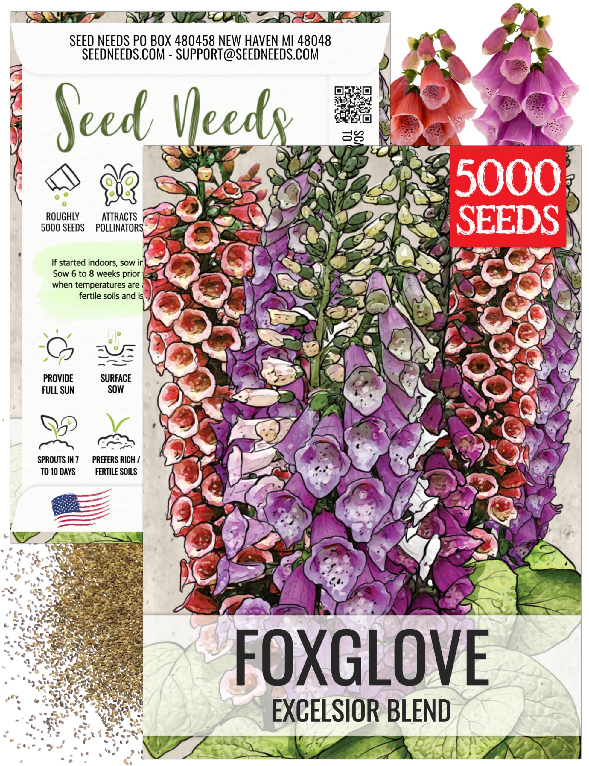 Seed Needs Foxglove Seeds for Planting Excelsior Mix Fox Glove - Heirloom & Open Pollinated Flowers to Plant an Outdoor Butterfly Garden with Colorful Wildflowers (1 Pack)