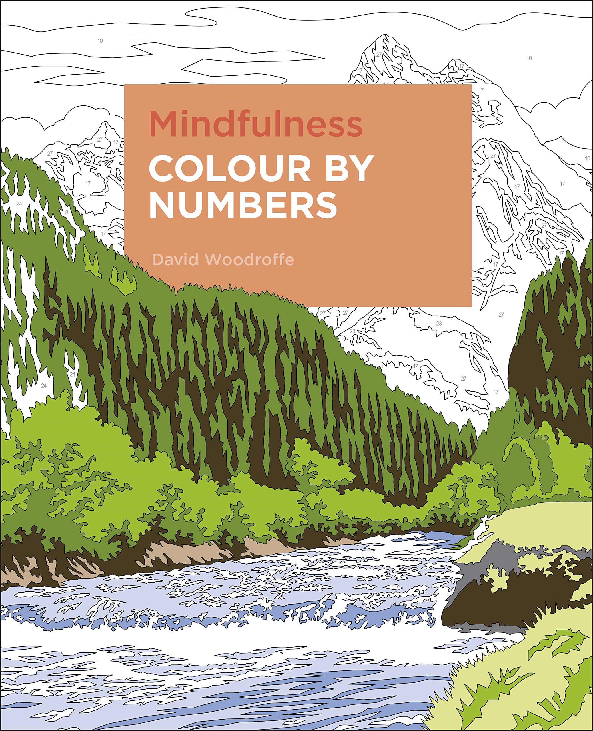 Mindfulness Colour by Numbers by David Woodroffe PAPERBACK 9781838574185