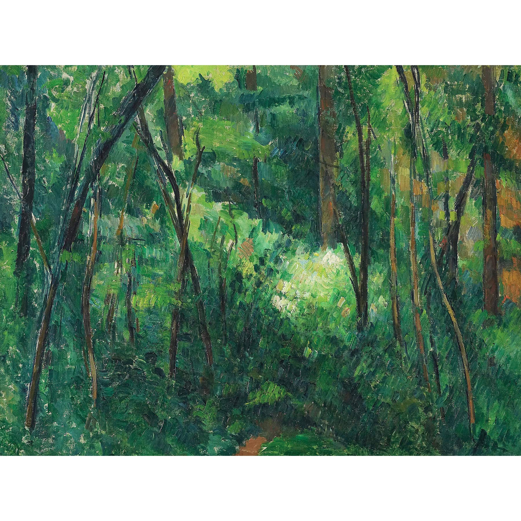 Paul Cezanne Interior Of A Forest Extra Large Art Print Wall Mural Poster Premium XL