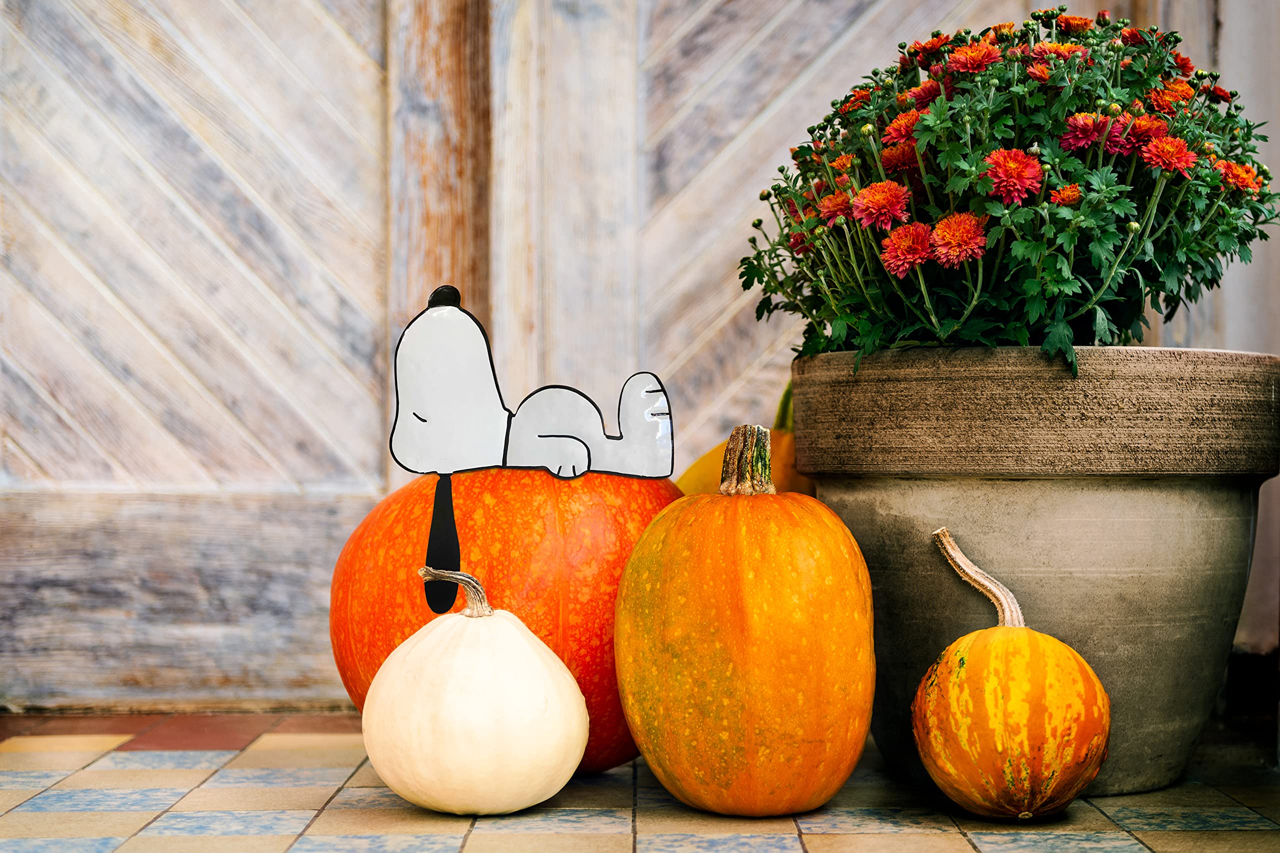 Amazon.com: PRODUCTWORKS Peanuts Pumkin Press-in Icon Metal Stake